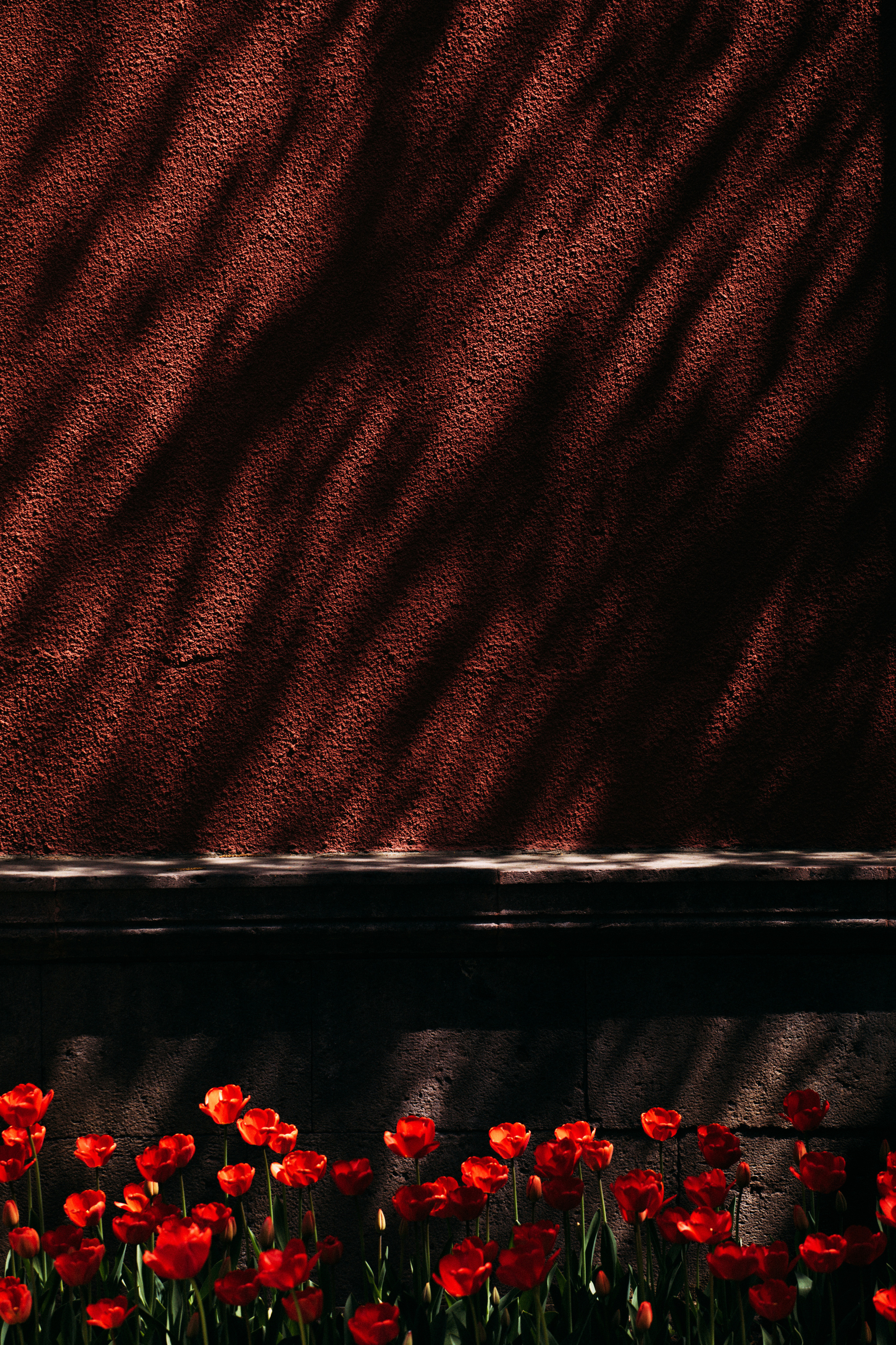 — то что нравится. Фотограф Кочкаев Роман