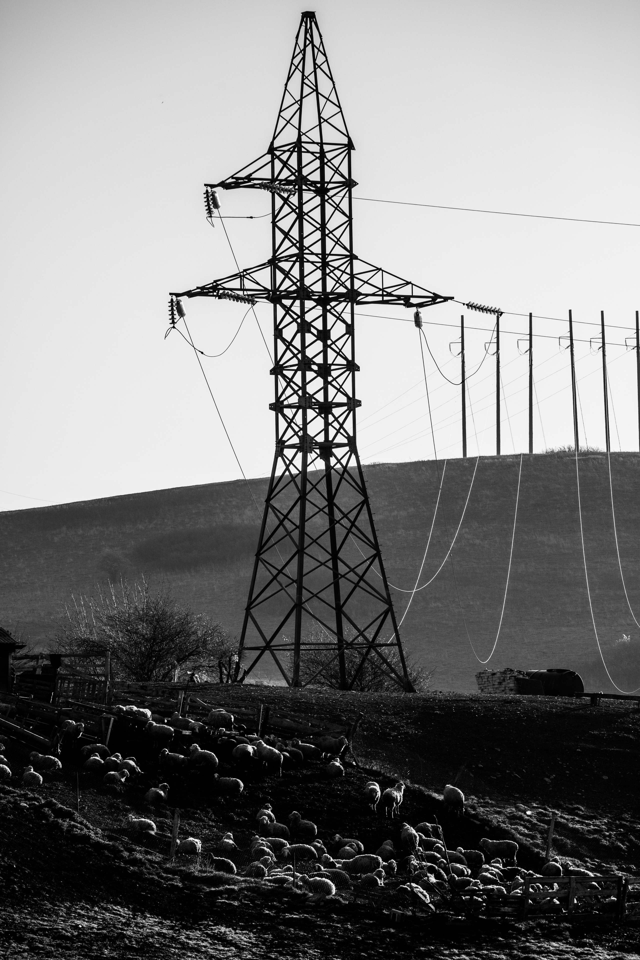 — посозерцать. Фотограф Кочкаев Роман