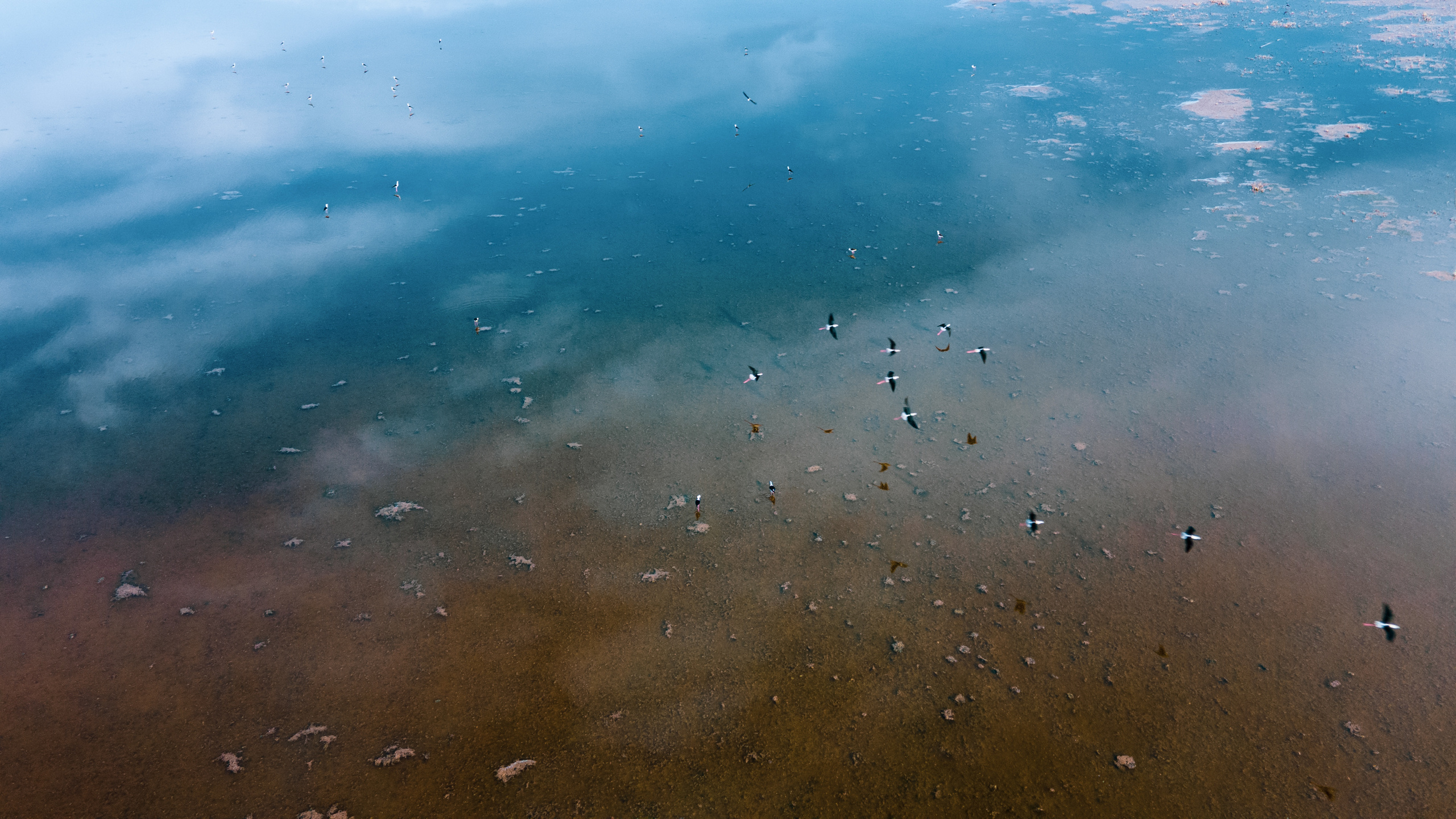 — посозерцать. Фотограф Кочкаев Роман