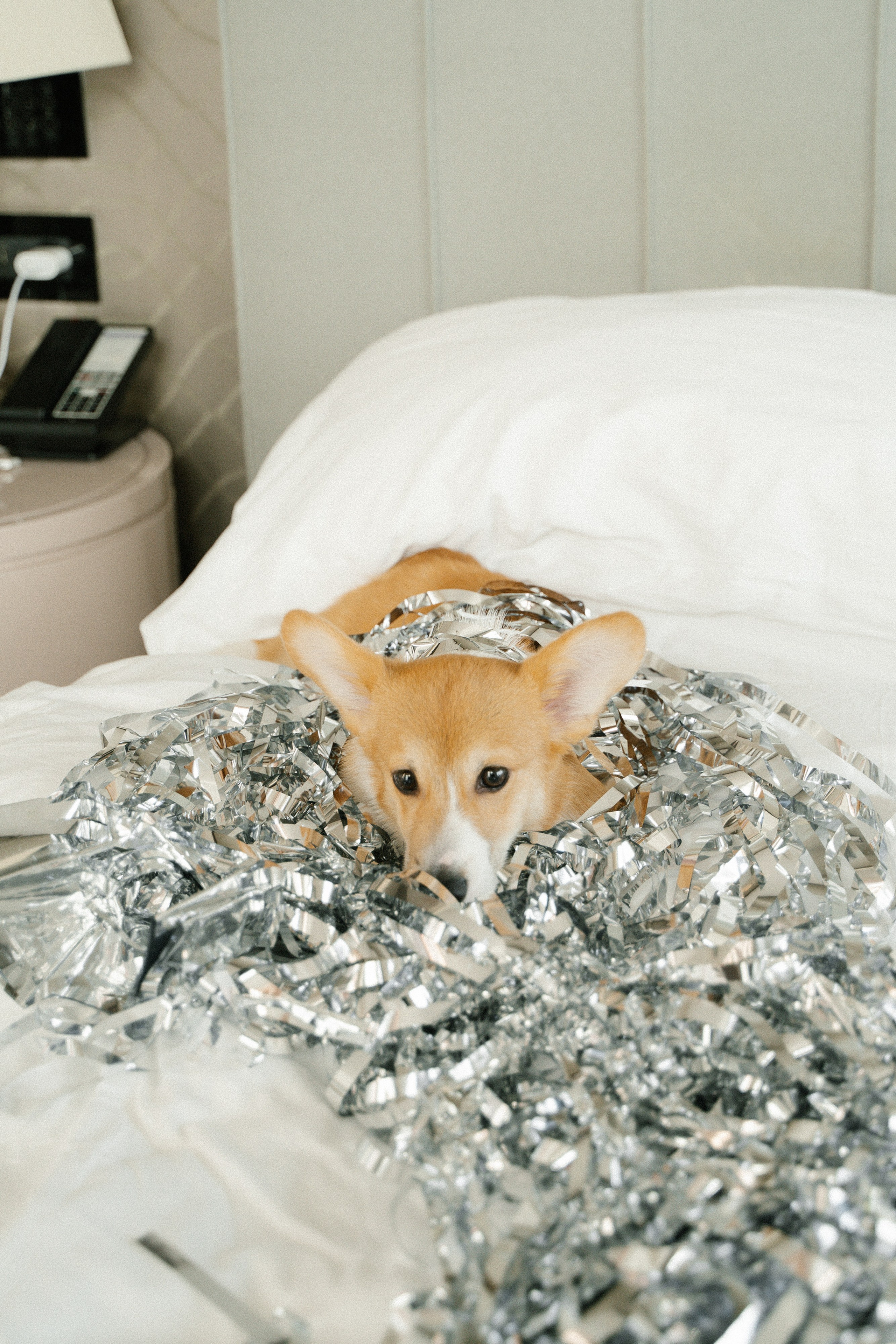 Вегас. Главная