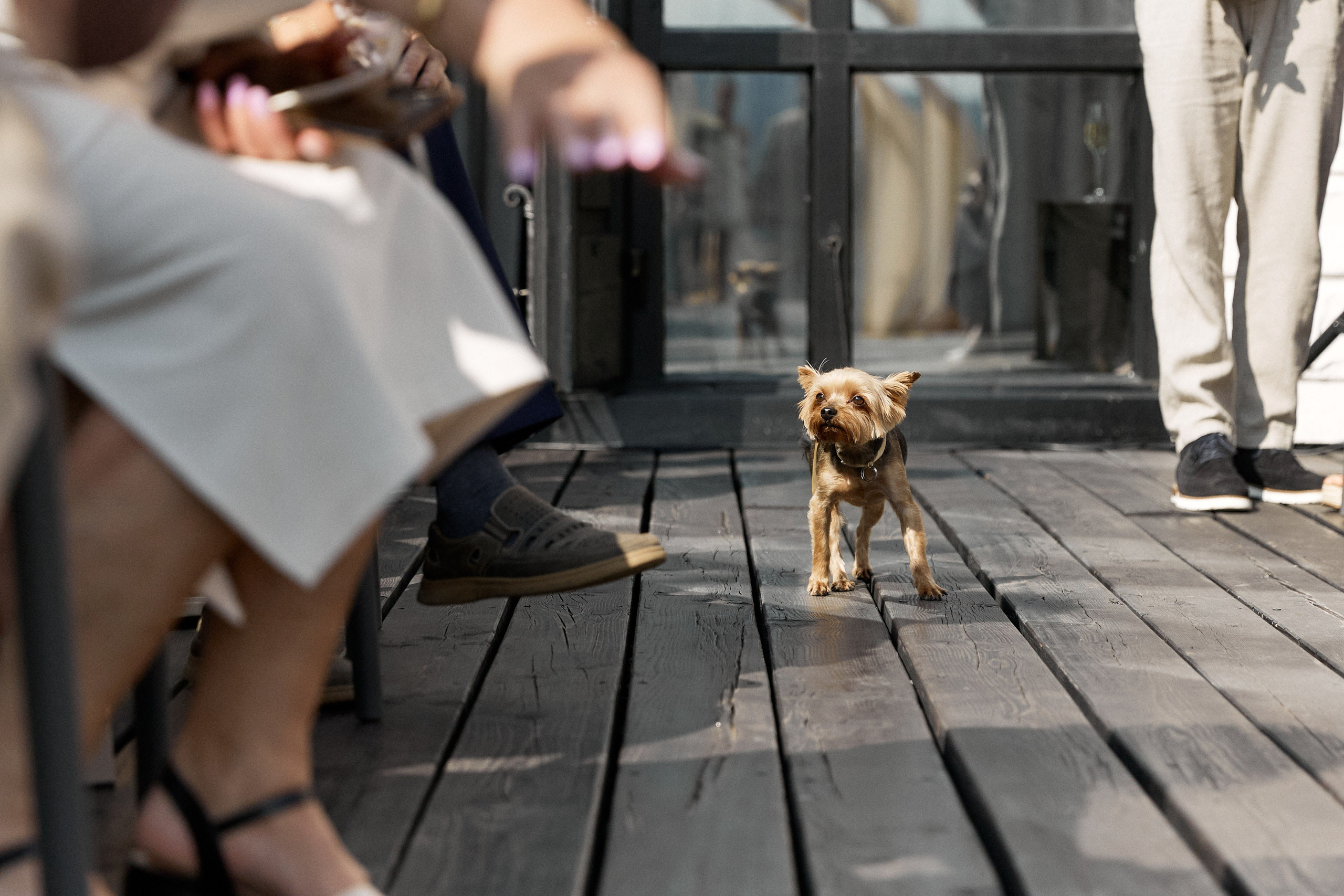 Посмотреть серию. Свадебный и семейный фотограф в Красноярске Тряпчев Павел