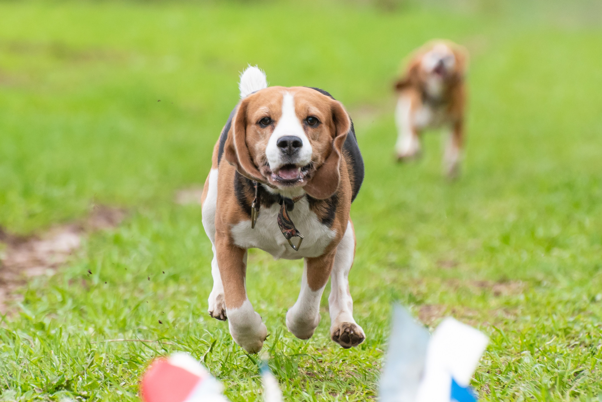 Фотографии с Курсинга. Фотограф Макс Огурцов в Нижнем Новгороде