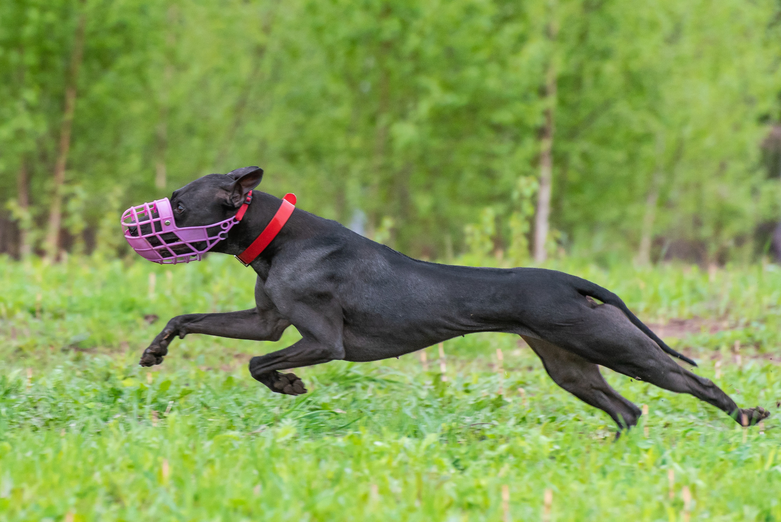 Фотографии с Курсинга. Фотограф Макс Огурцов в Нижнем Новгороде