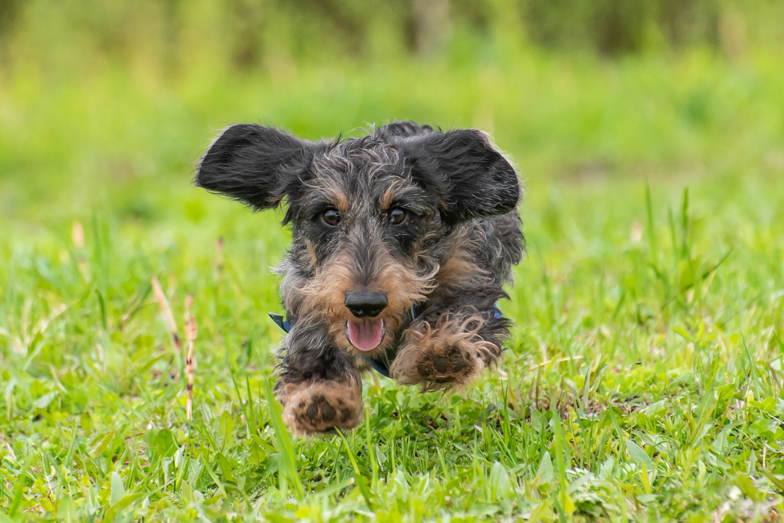 Фотографии с Курсинга. Фотограф Макс Огурцов в Нижнем Новгороде