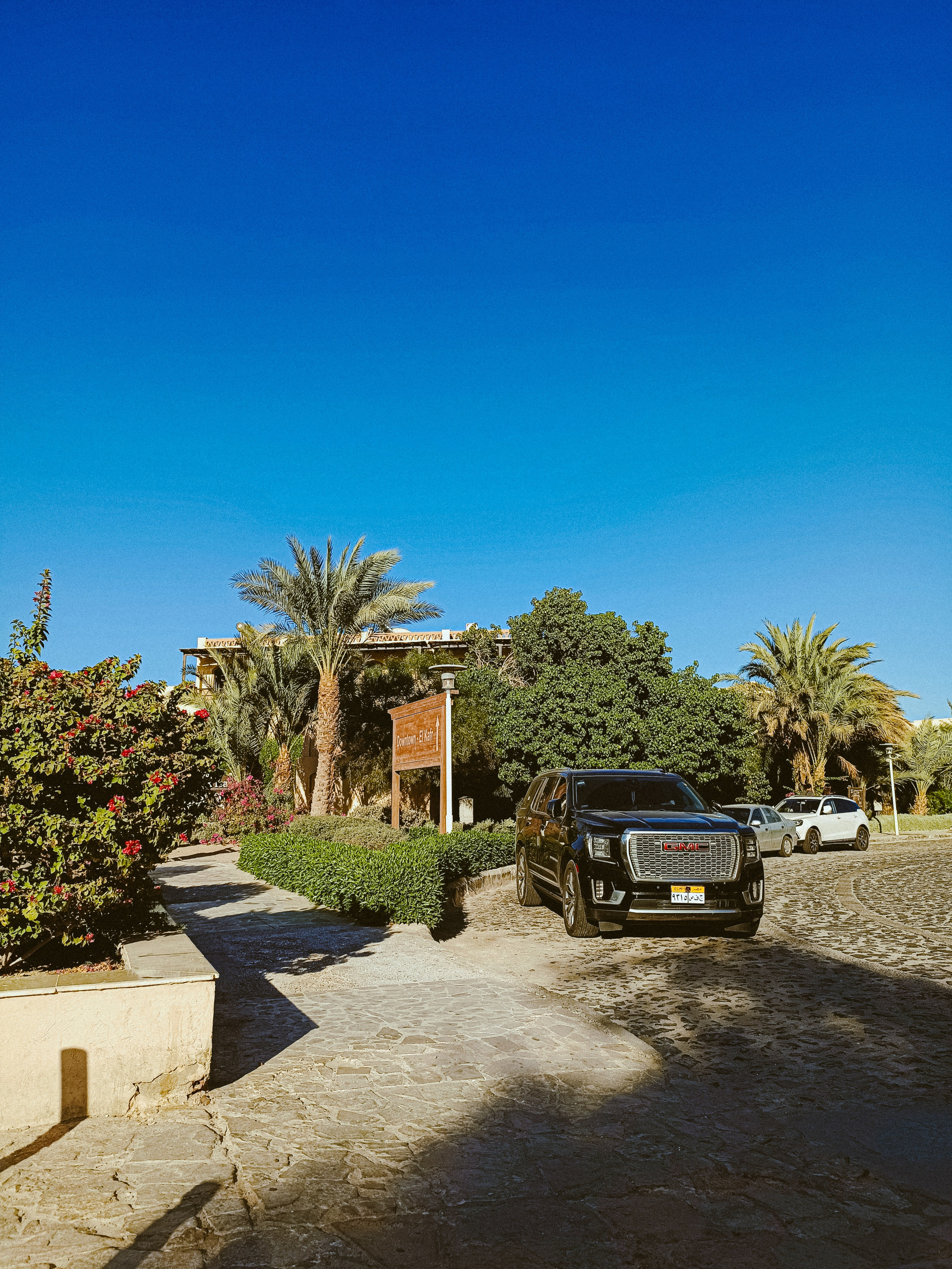 Мобильная. Jorgis — фотограф в Хургаде / обучение фотографии