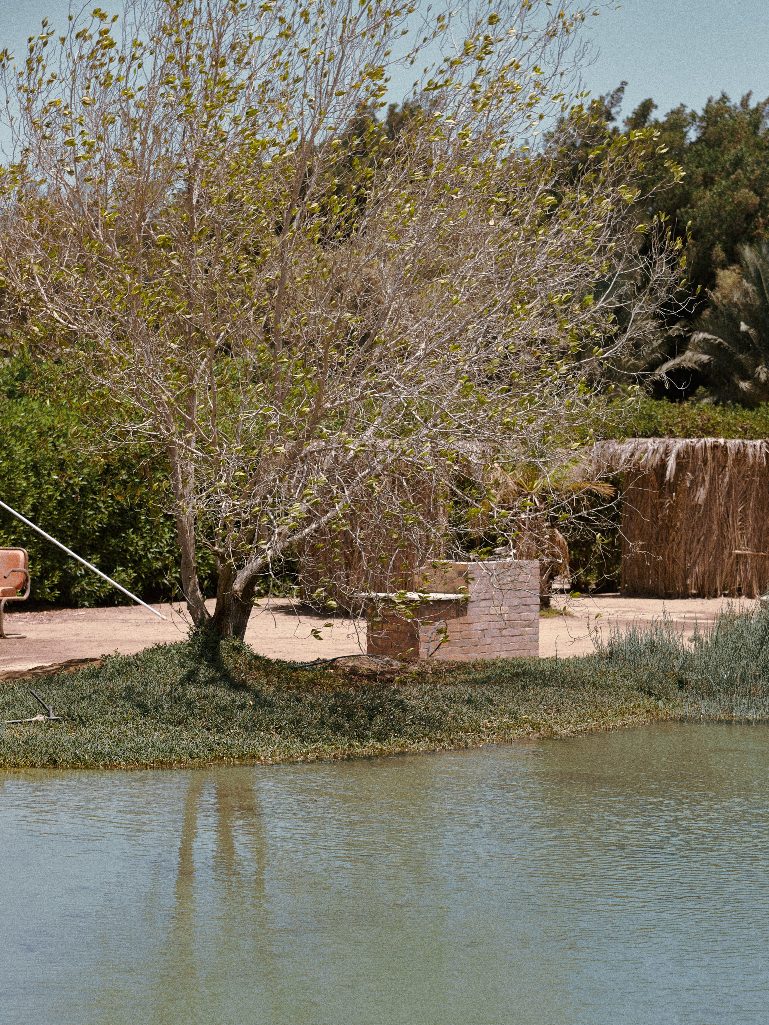 Другое. Jorgis Talè — photographer, kind person, teacher of arts and other mag