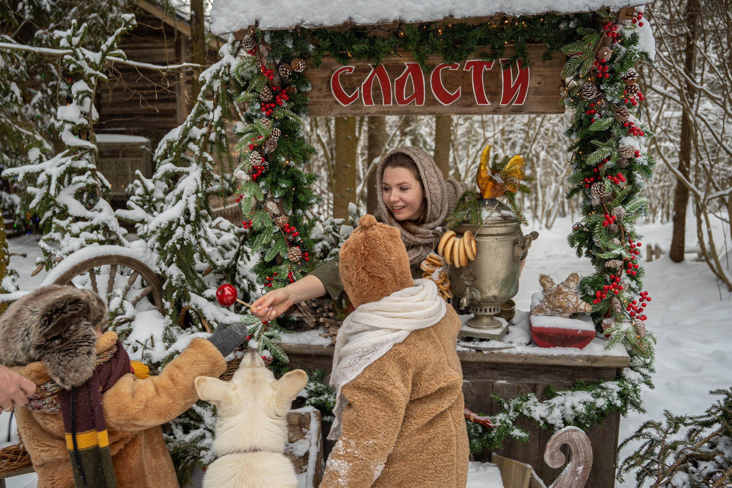 Лесное. Главная