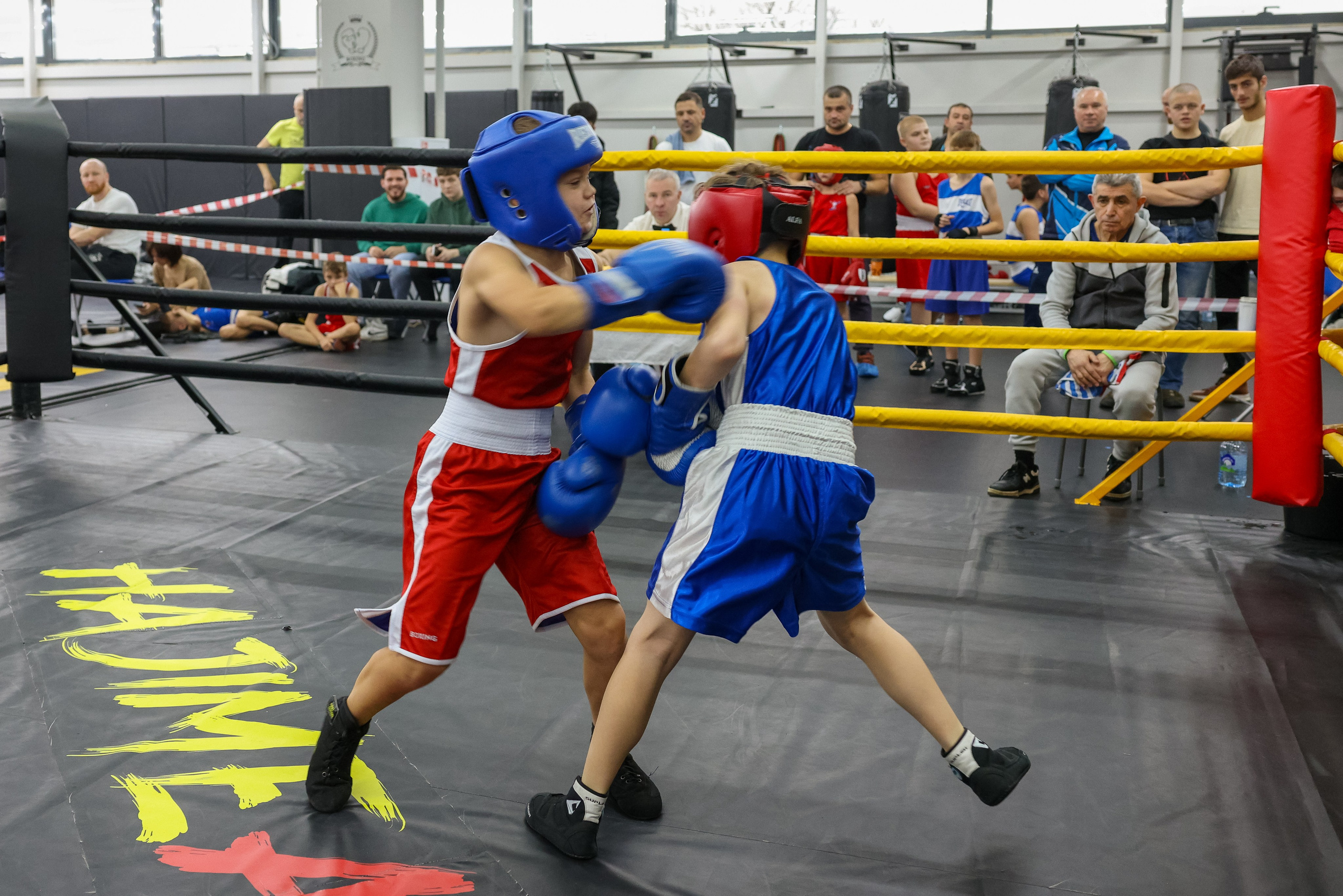 Открытый ринг «кубок ООО «ТЭК НеваСпецТяж». Фотограф Александр Заломаев