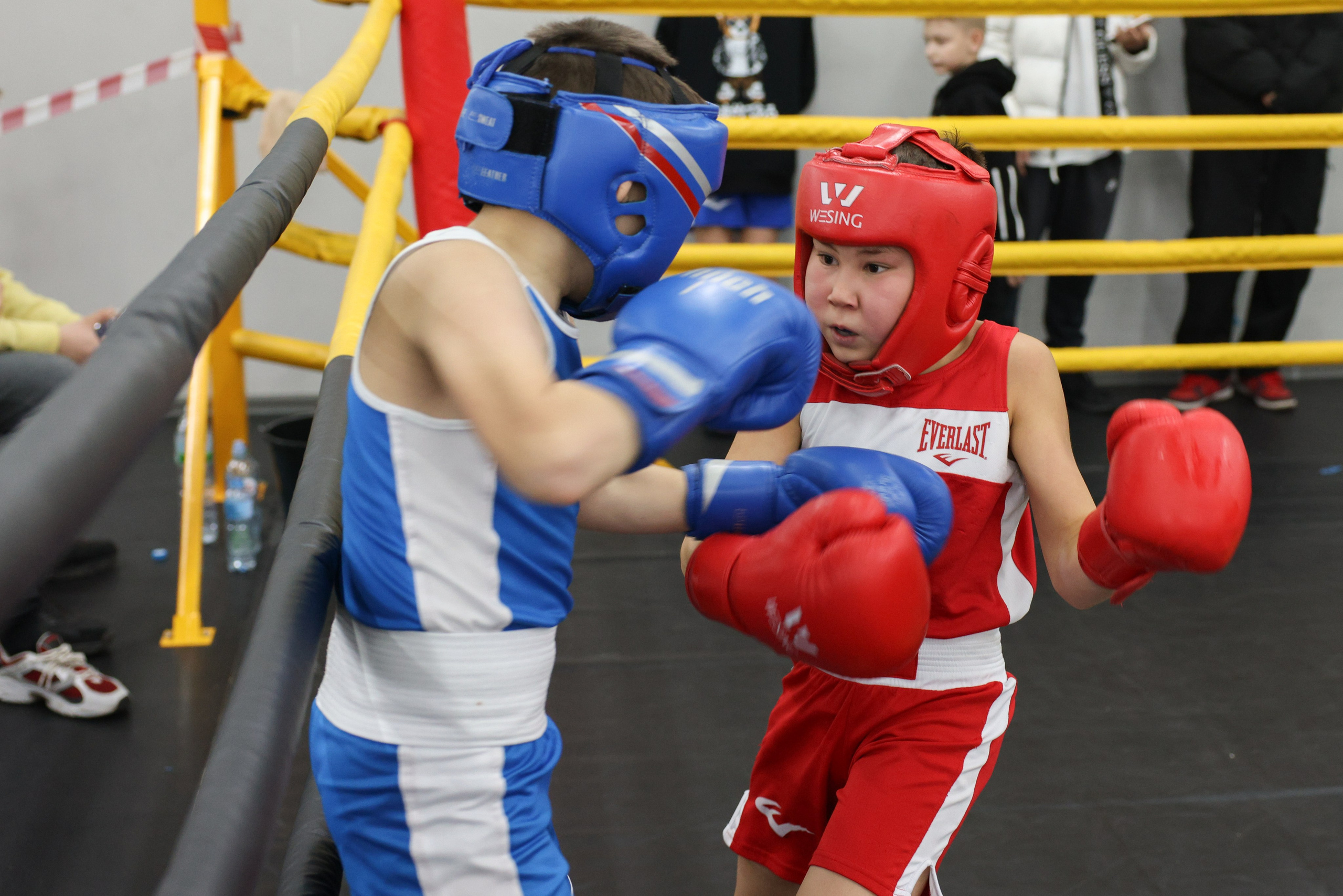 Открытый ринг «кубок ООО «ТЭК НеваСпецТяж». Фотограф Александр Заломаев