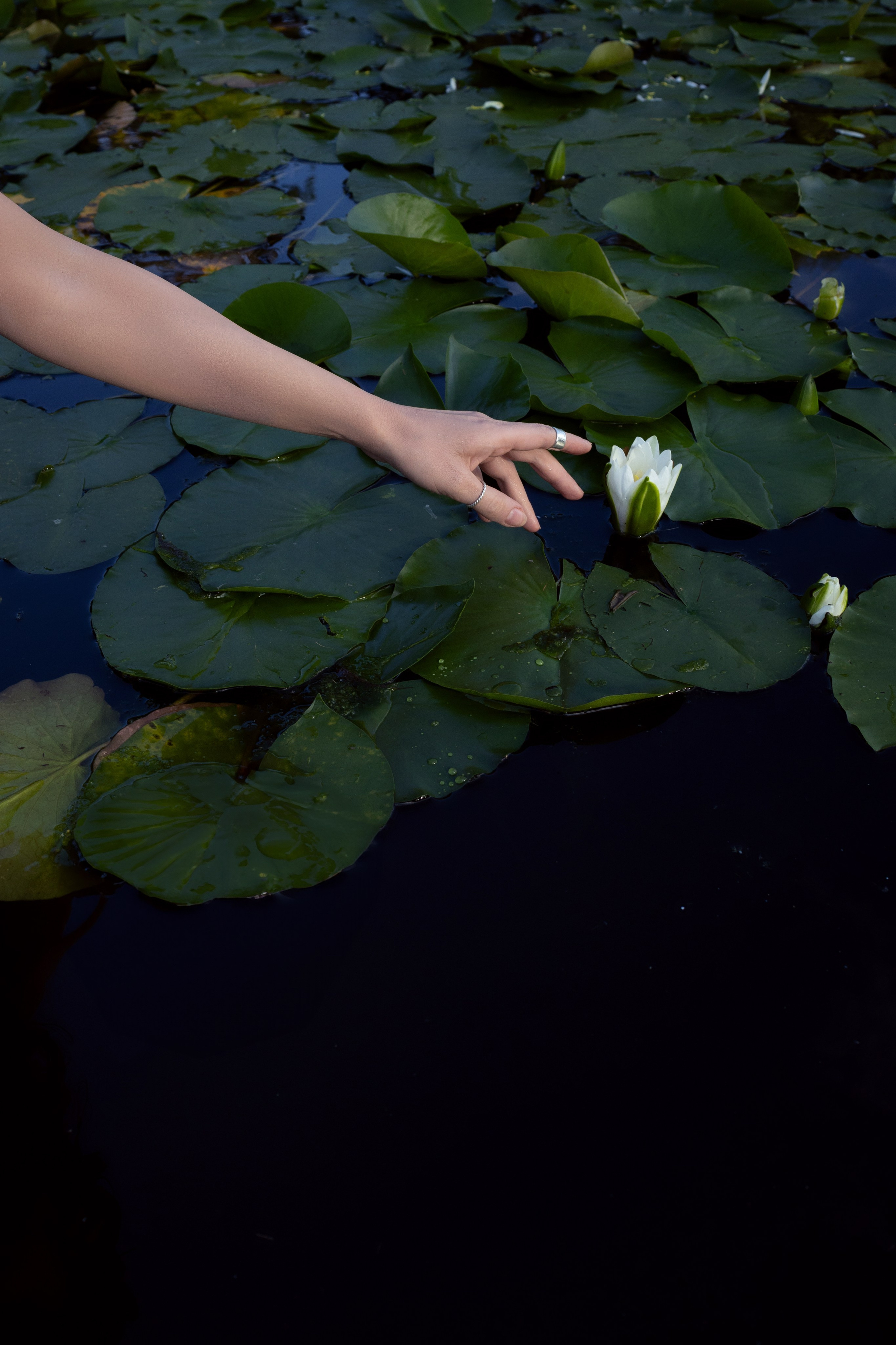 Ophelia. Magic photos