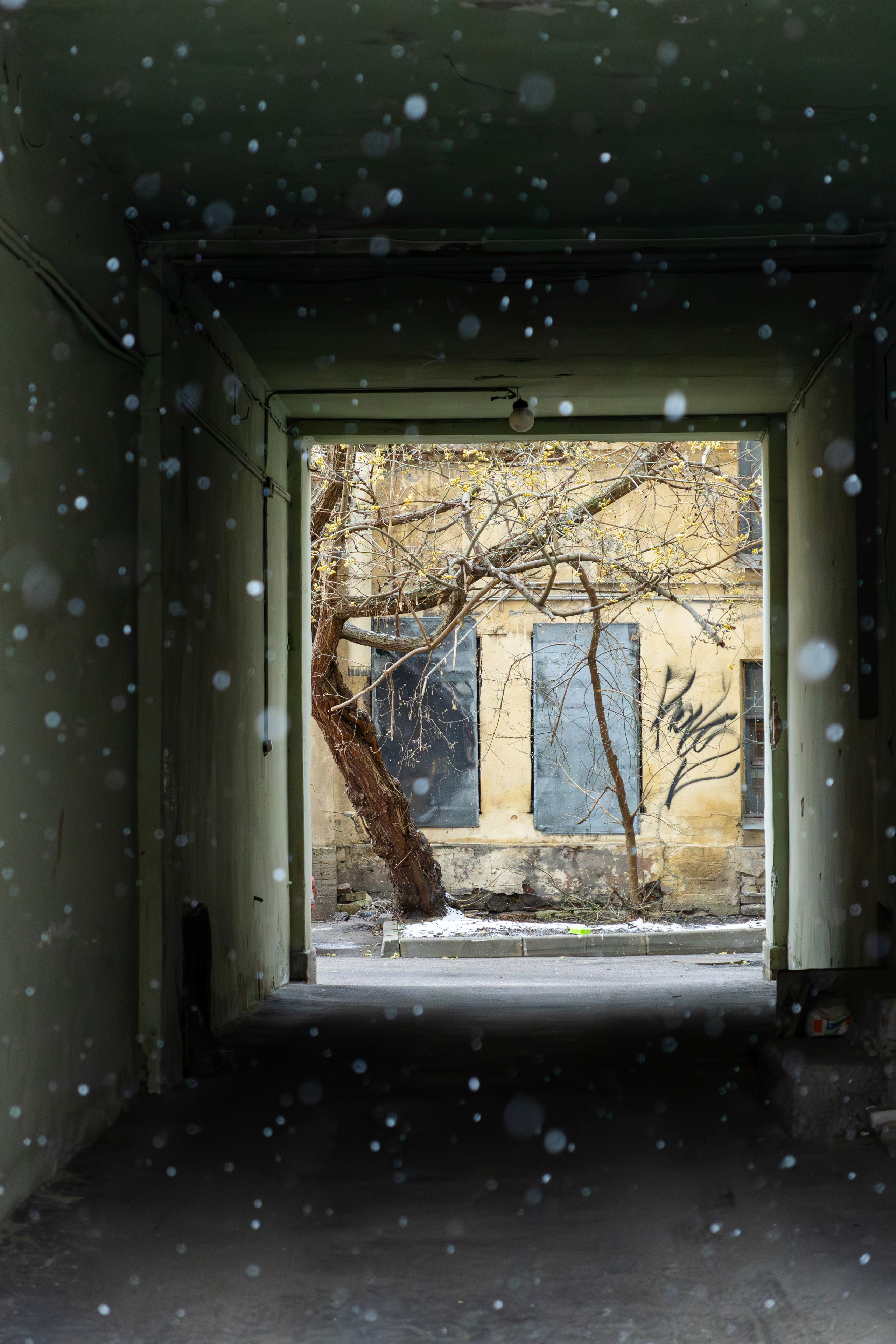 Уличная фотография. Репортажный фотограф в СПб