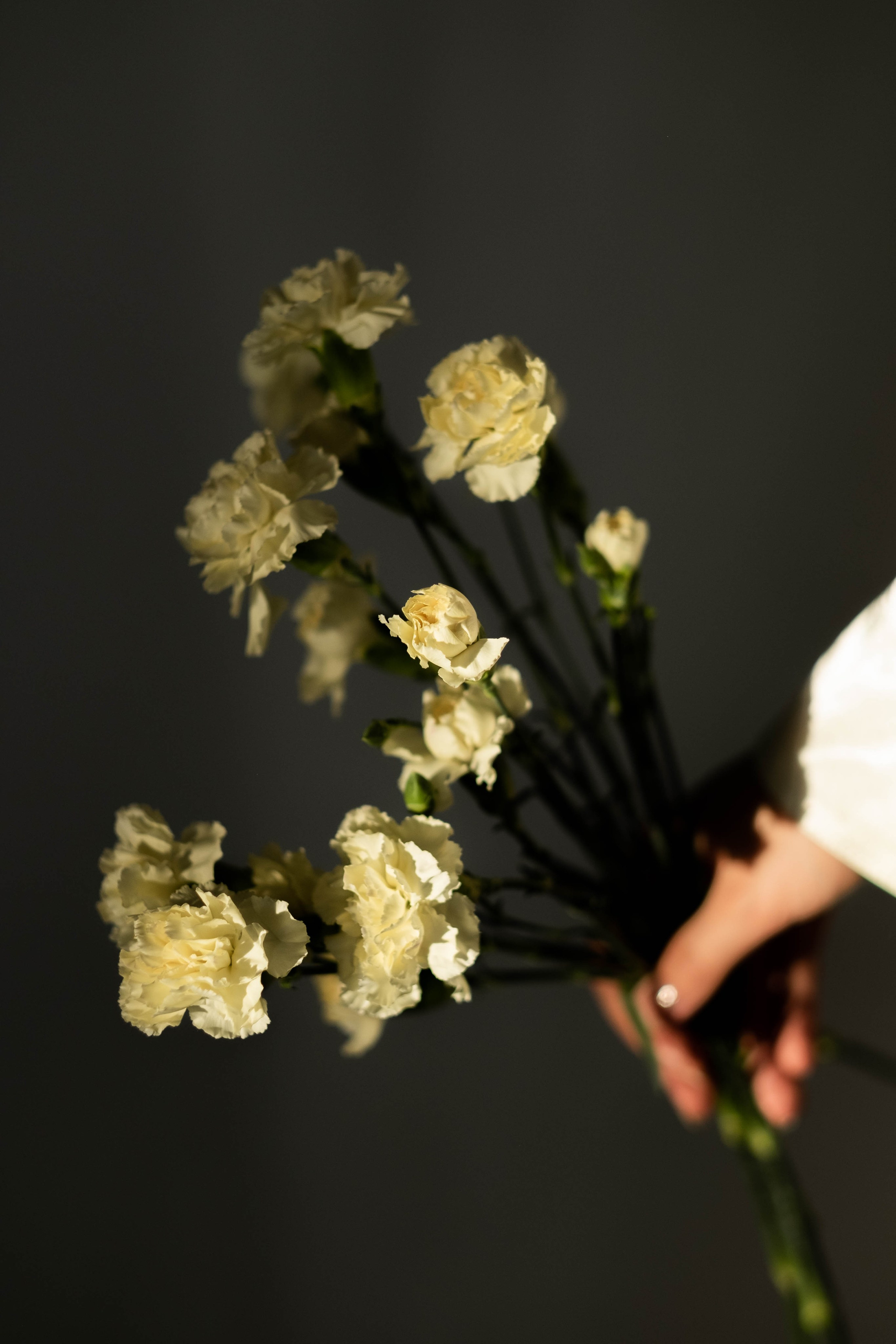 Юля. Портретный фотограф Алина Хаунина