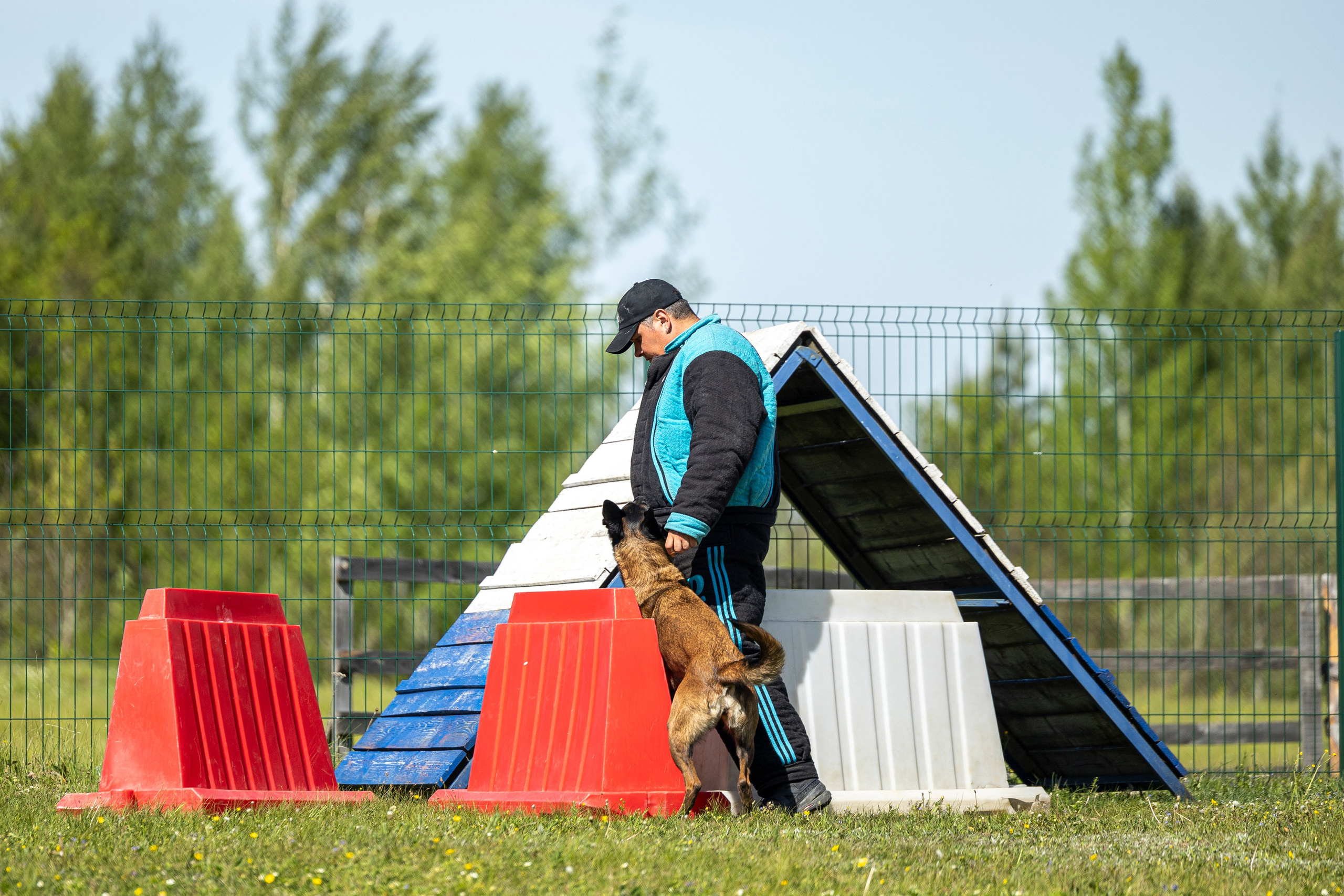 Испытания по мондьорингу в Нижнем Новгороде. Фотограф-анималист Анна Маринич