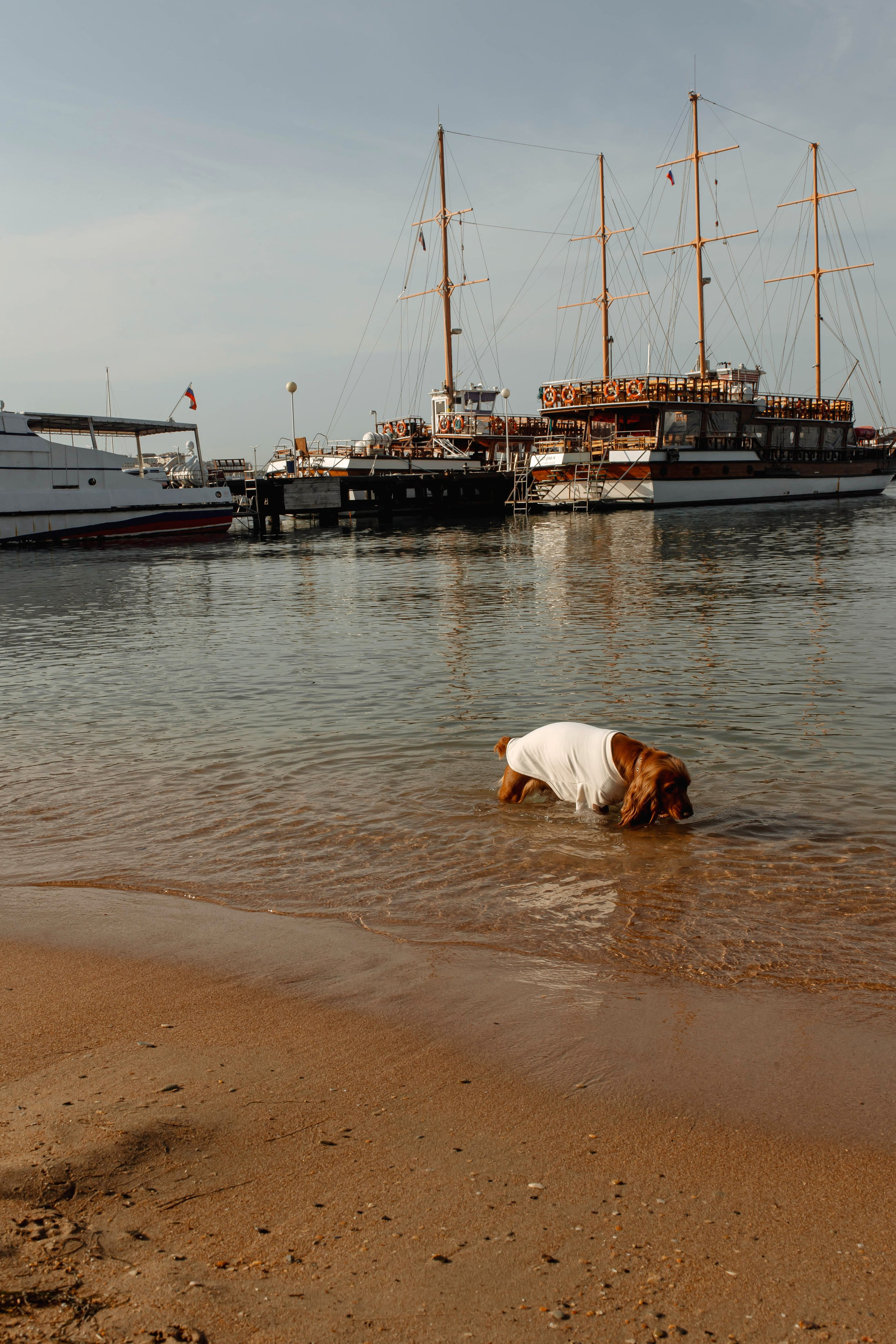 Кристина и Максим. Фотограф в Геленджике, Архипо-Осиповке, Абрау-Дюрсо, Кринице Виктория