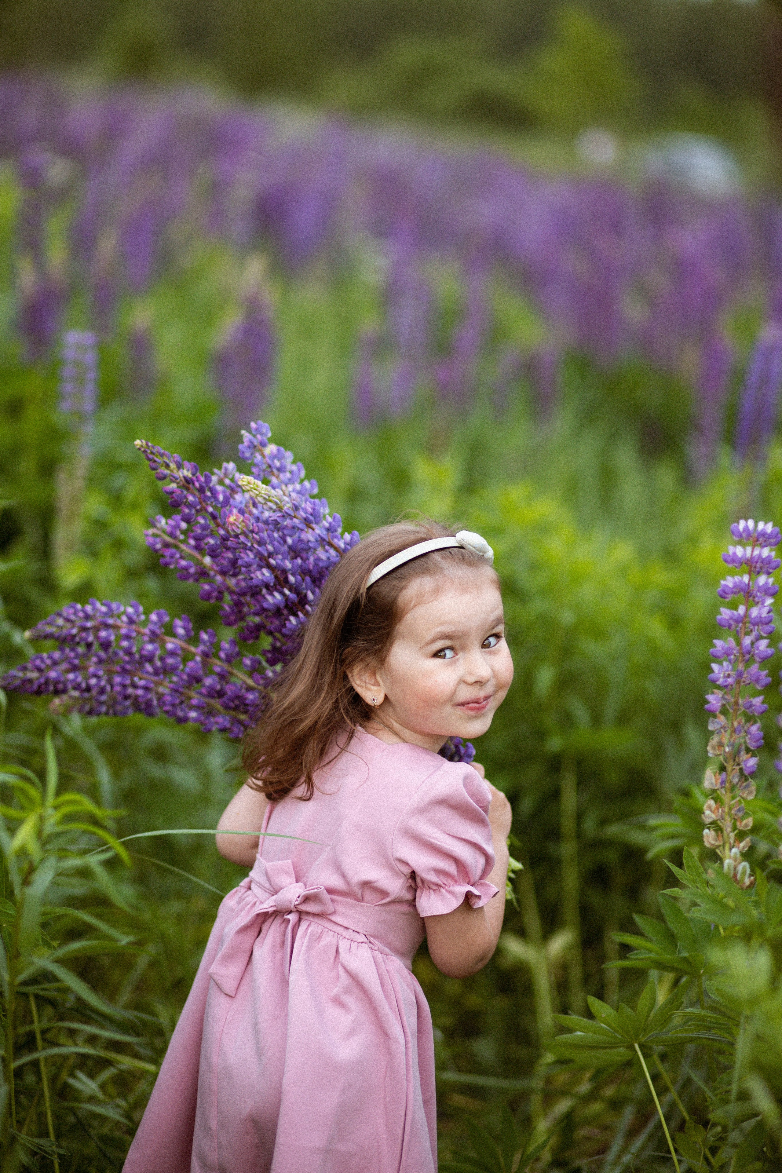 Июньские люпины. Фотограф в Москве/Санкт-Петербурге