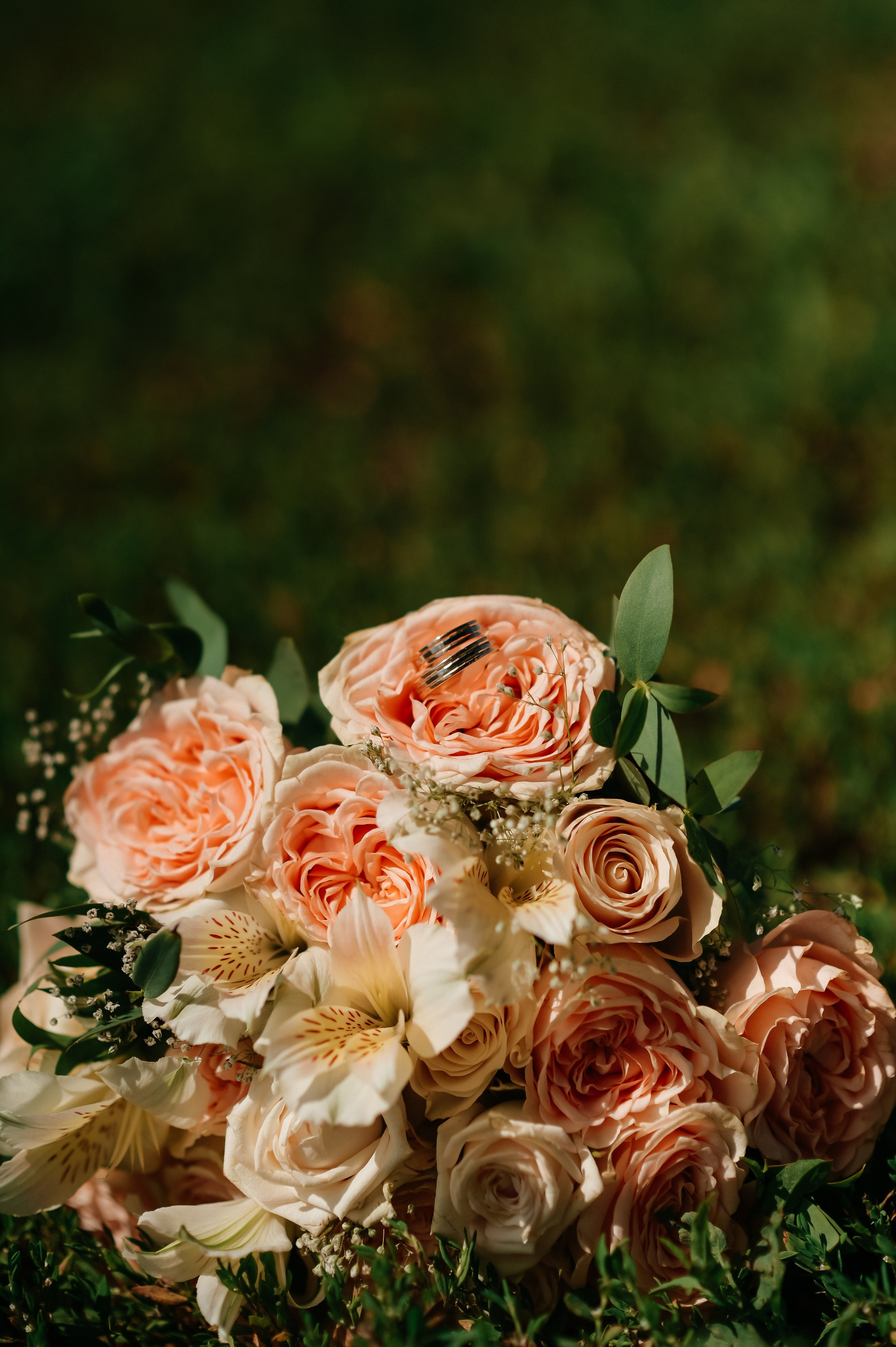 Полина & Алексей. Семейный фотограф Олеся Батурина Рязань