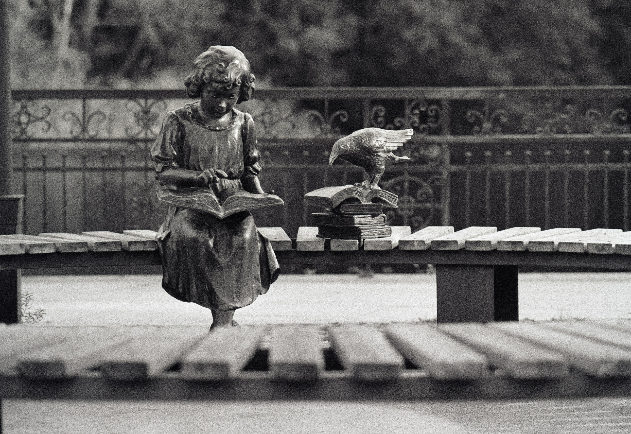 Other. Photographer in Kaliningrad