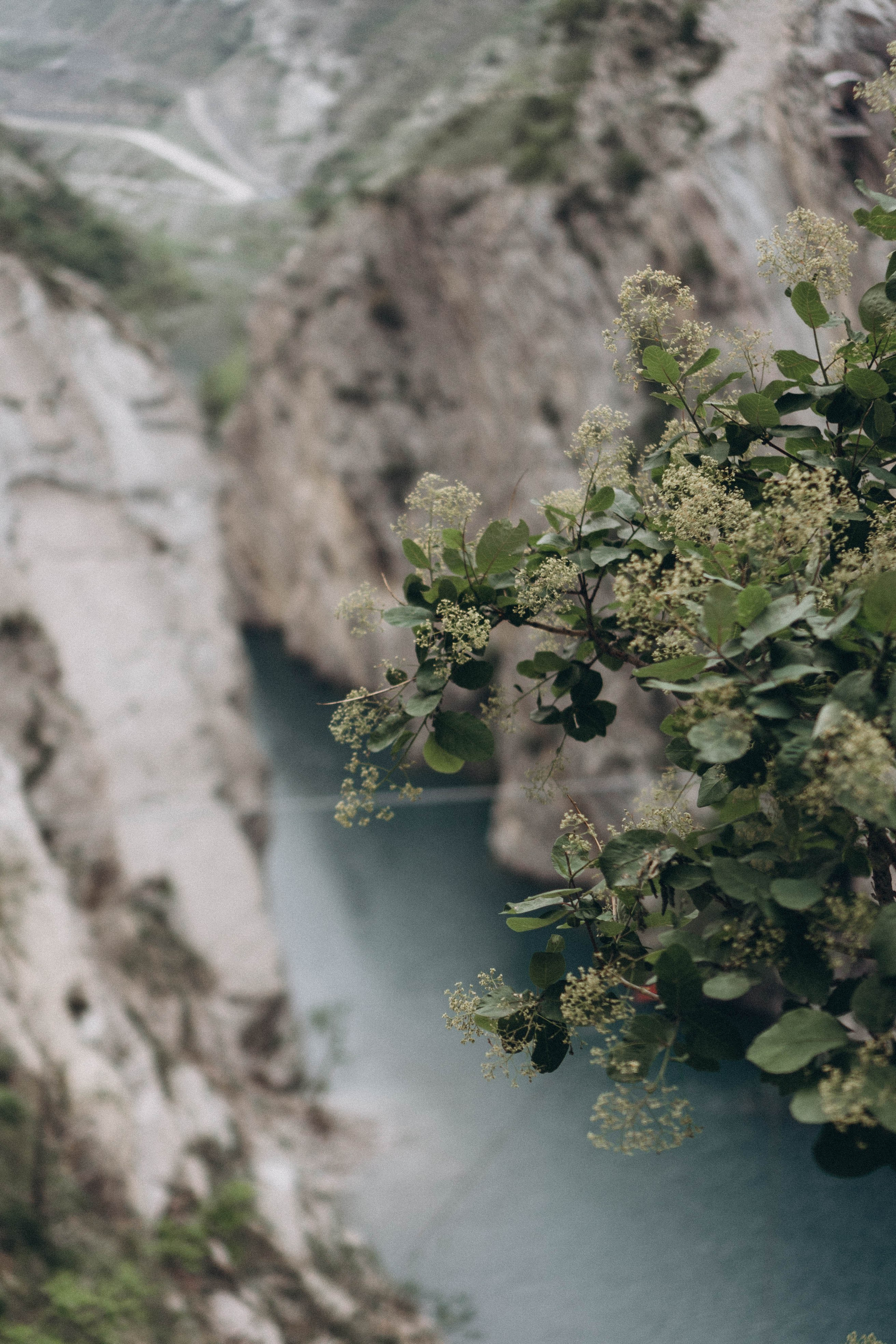 Кавказ. Профессиональный фотограф, Санкт-Петербург — Виктория Богомолова