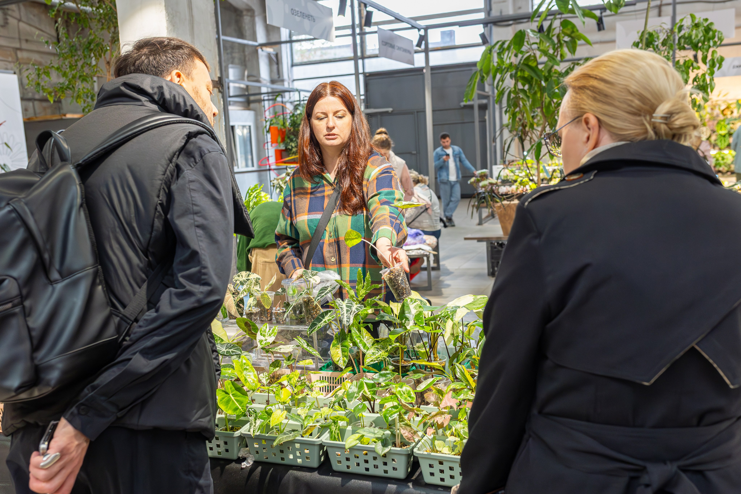 Ярмарка Green Rare 20.09.25. Александра Куликова фотограф, Москва