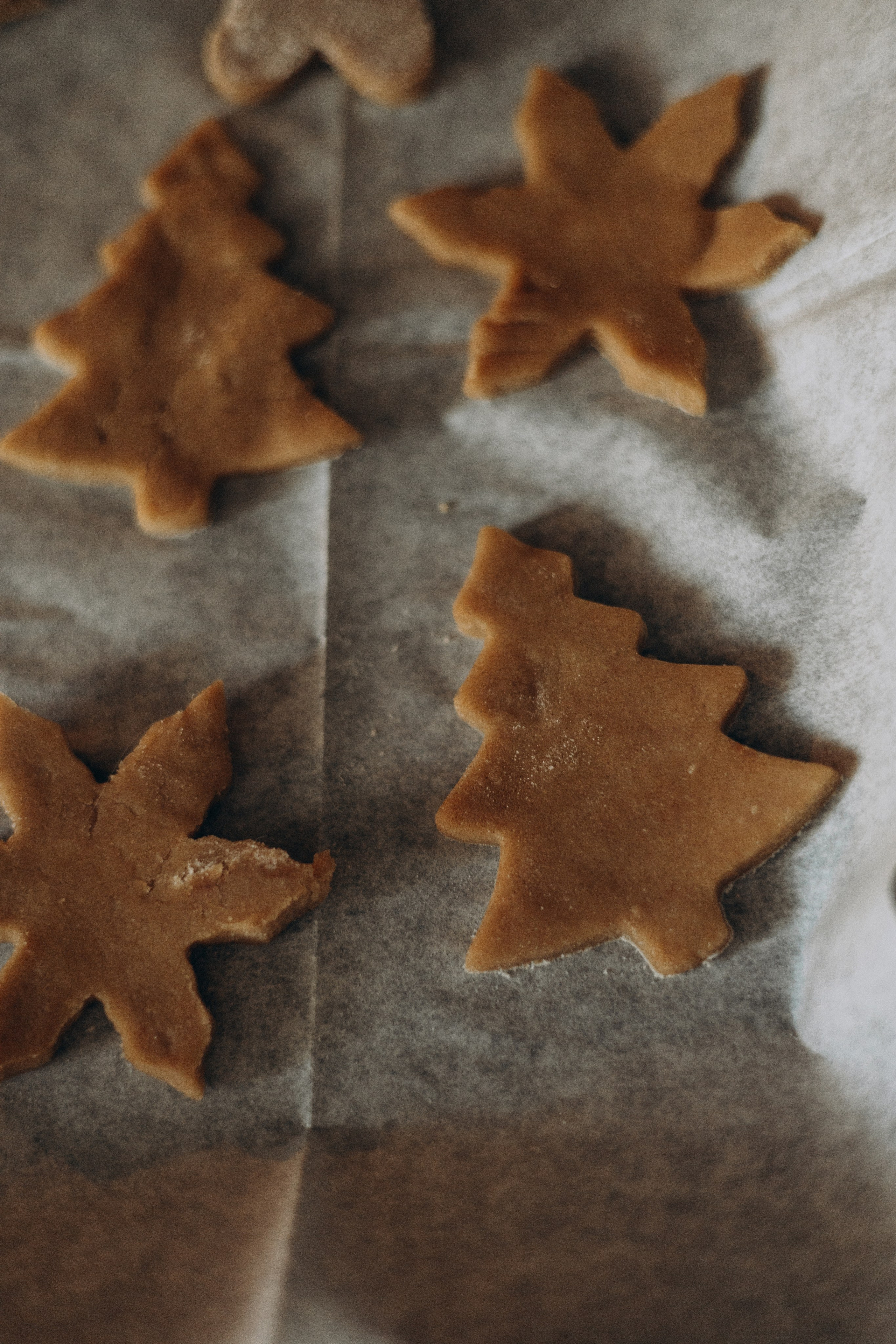 Есения. Самый теплый фотограф в Краснодаре Рябоконь Ксения