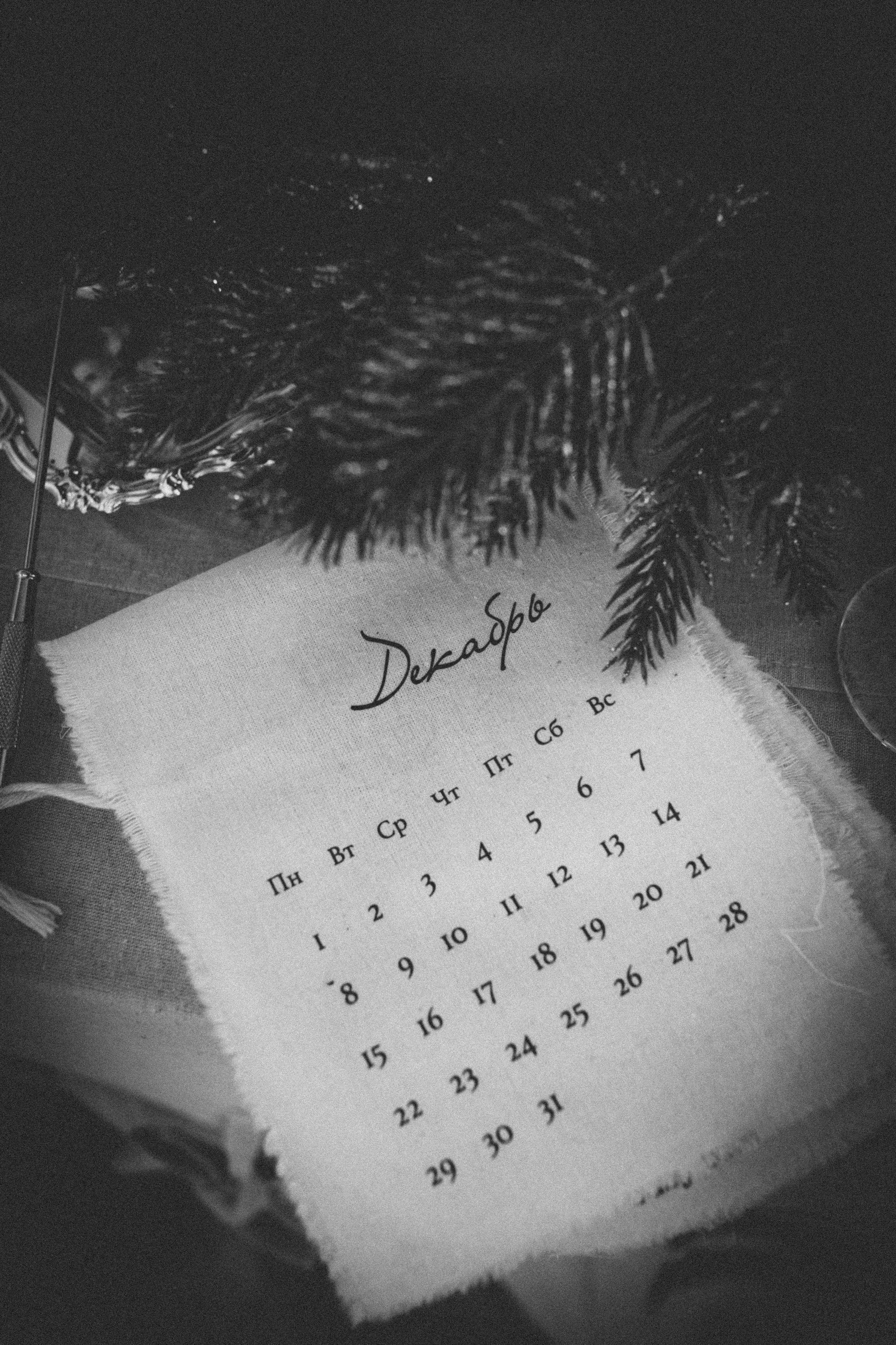 New year famyli. Семейный фотограф и фотограф на роды в Ростове-на-Дону Мухина Виктория