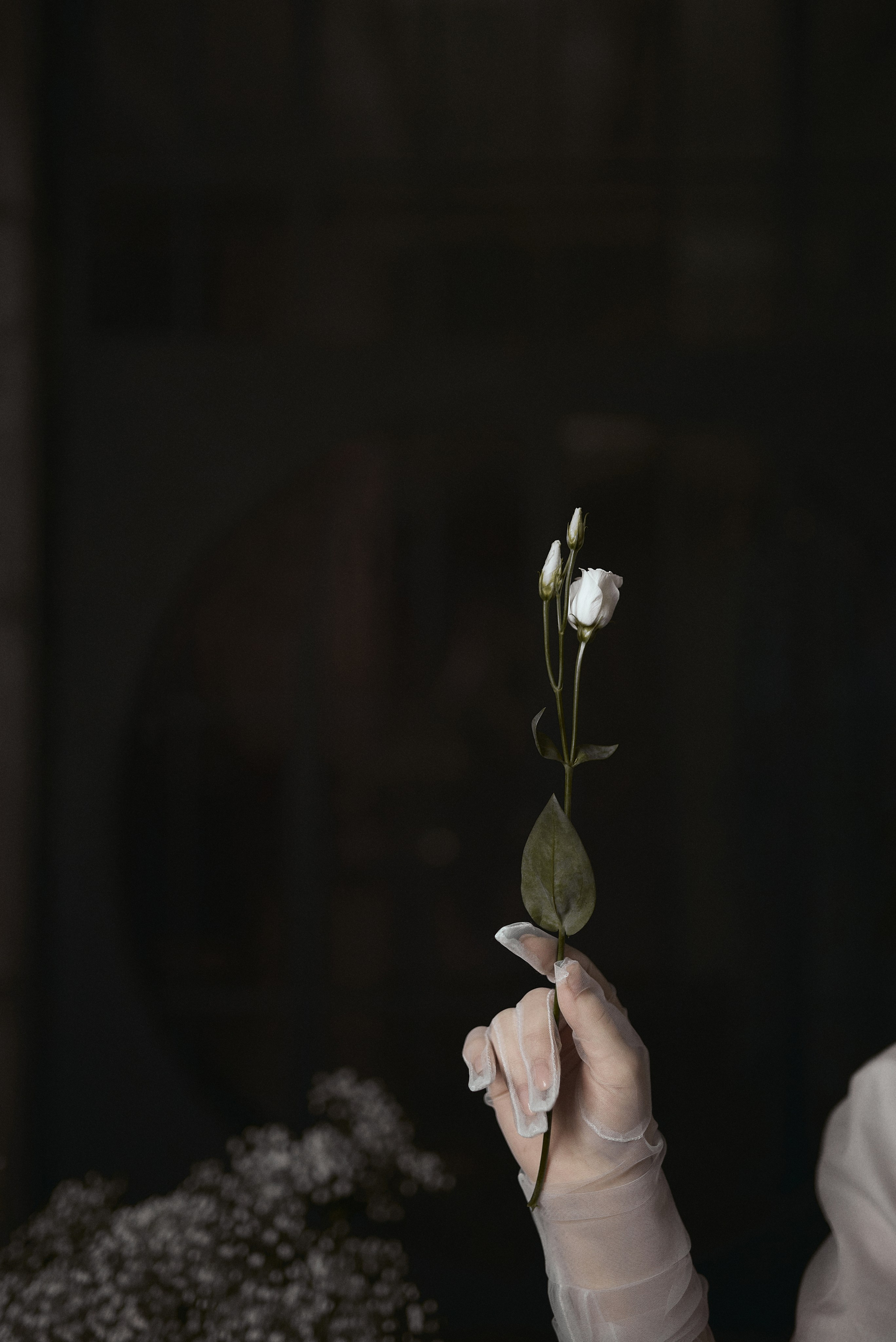 Сreate and frame. Свадебный фотограф в Самаре Анастасия Десятова