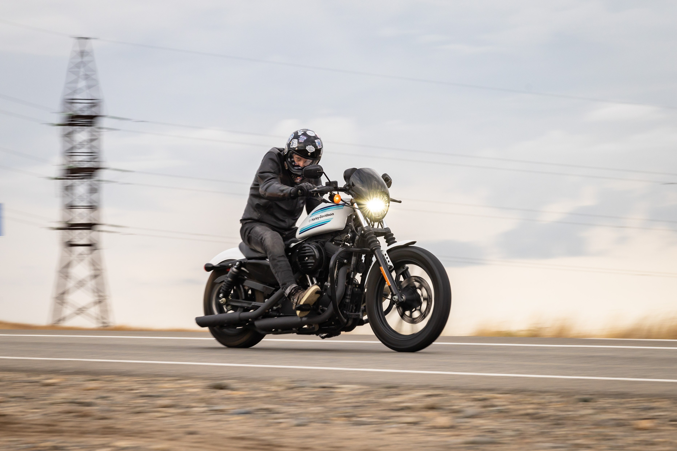 Южное Сафари в Тамани. Сентябрь 2024. Фотограф Владимир Охрименко