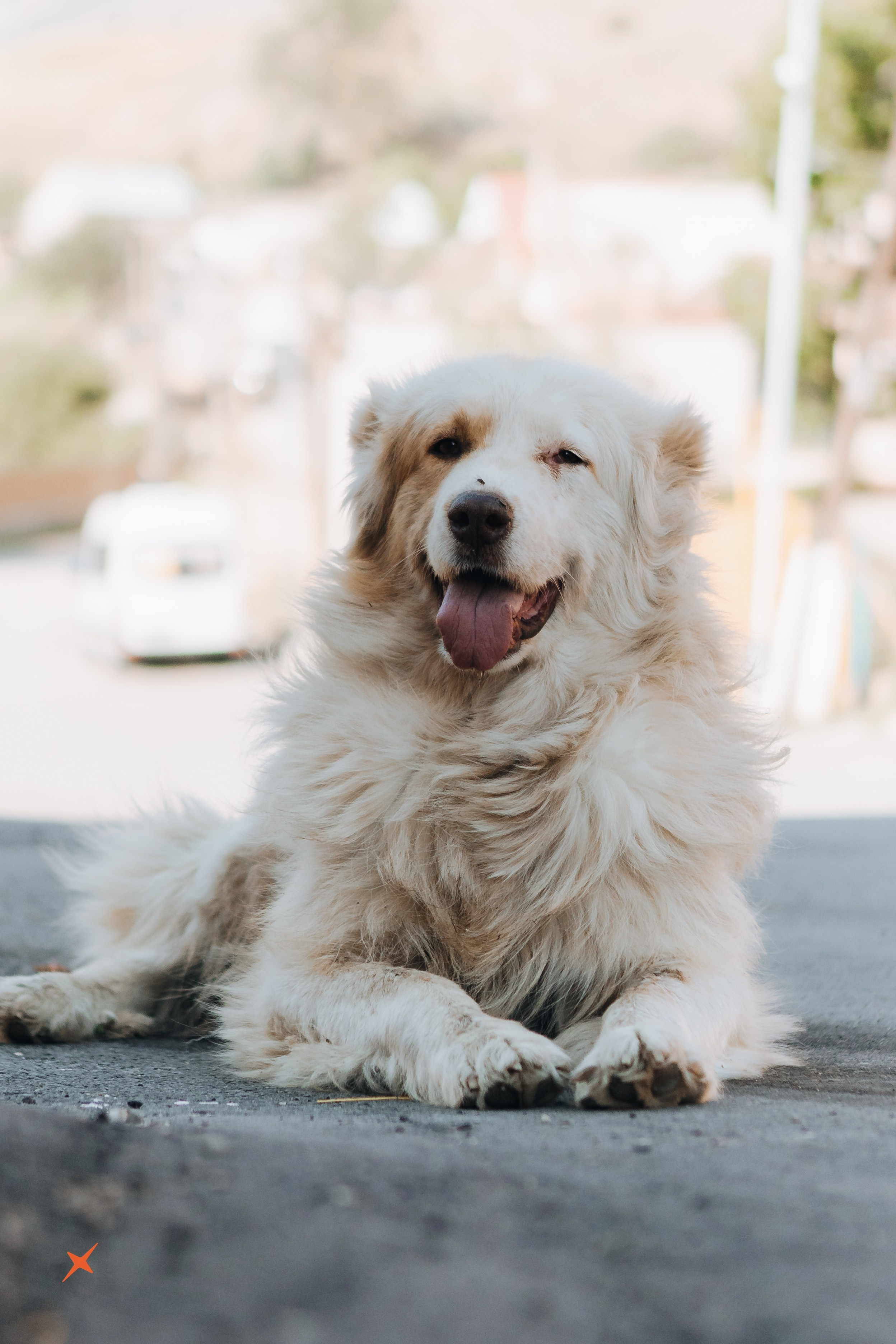 Безенги 4Sklona. Портреты и лайфстайл в Краснодаре