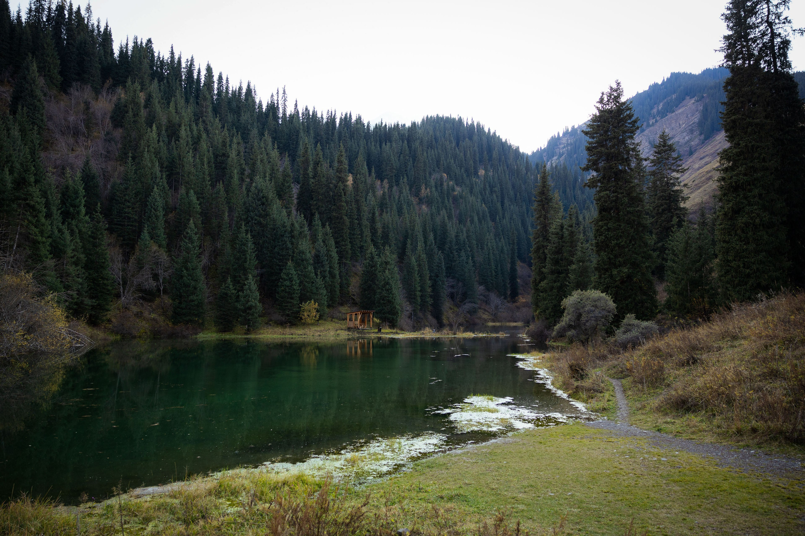 Казахстан (осень 2024). Фотограф Виноградов Константин