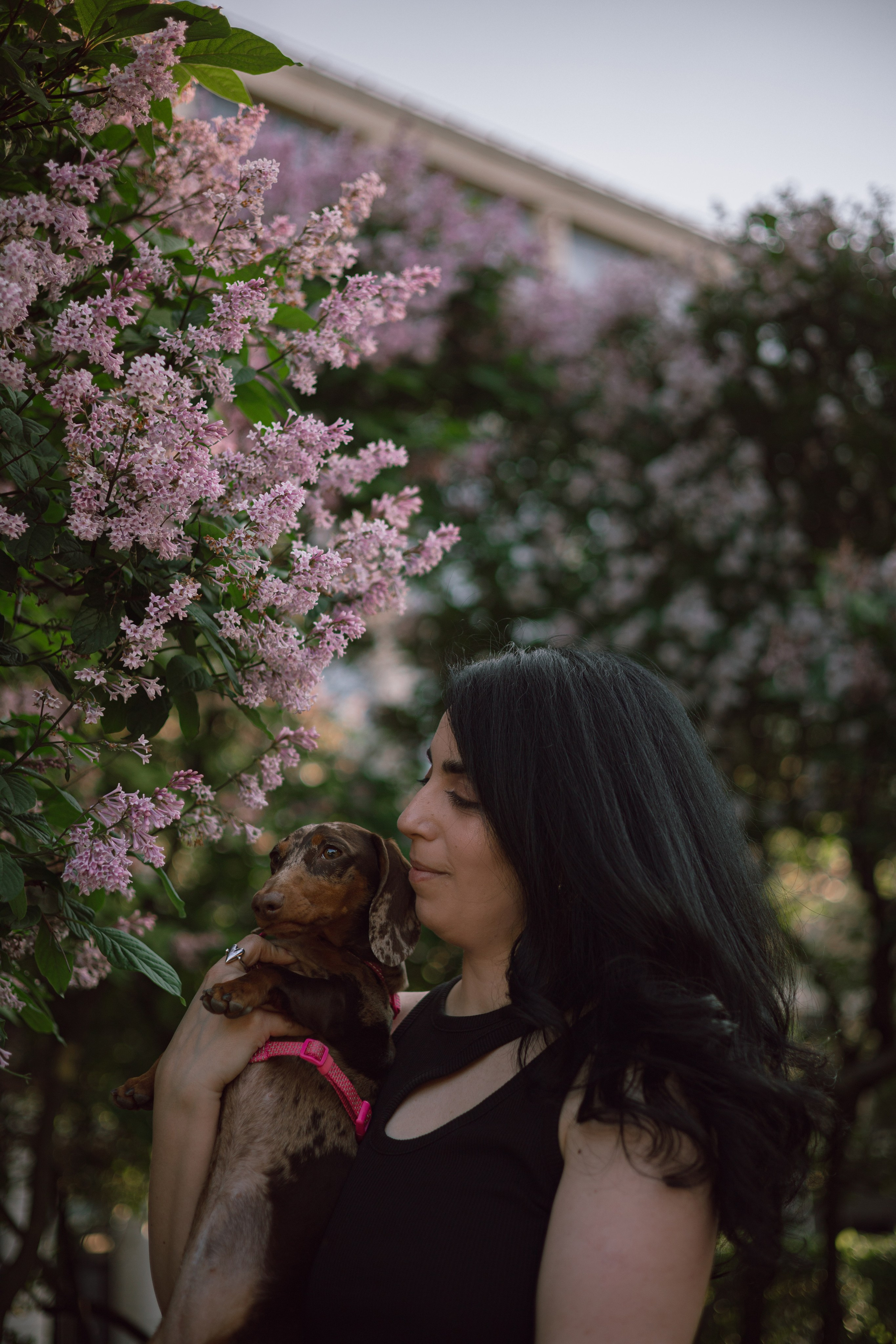 Каринэ и Келли. Фотограф — анималист •love-story•|Санкт-Петербург