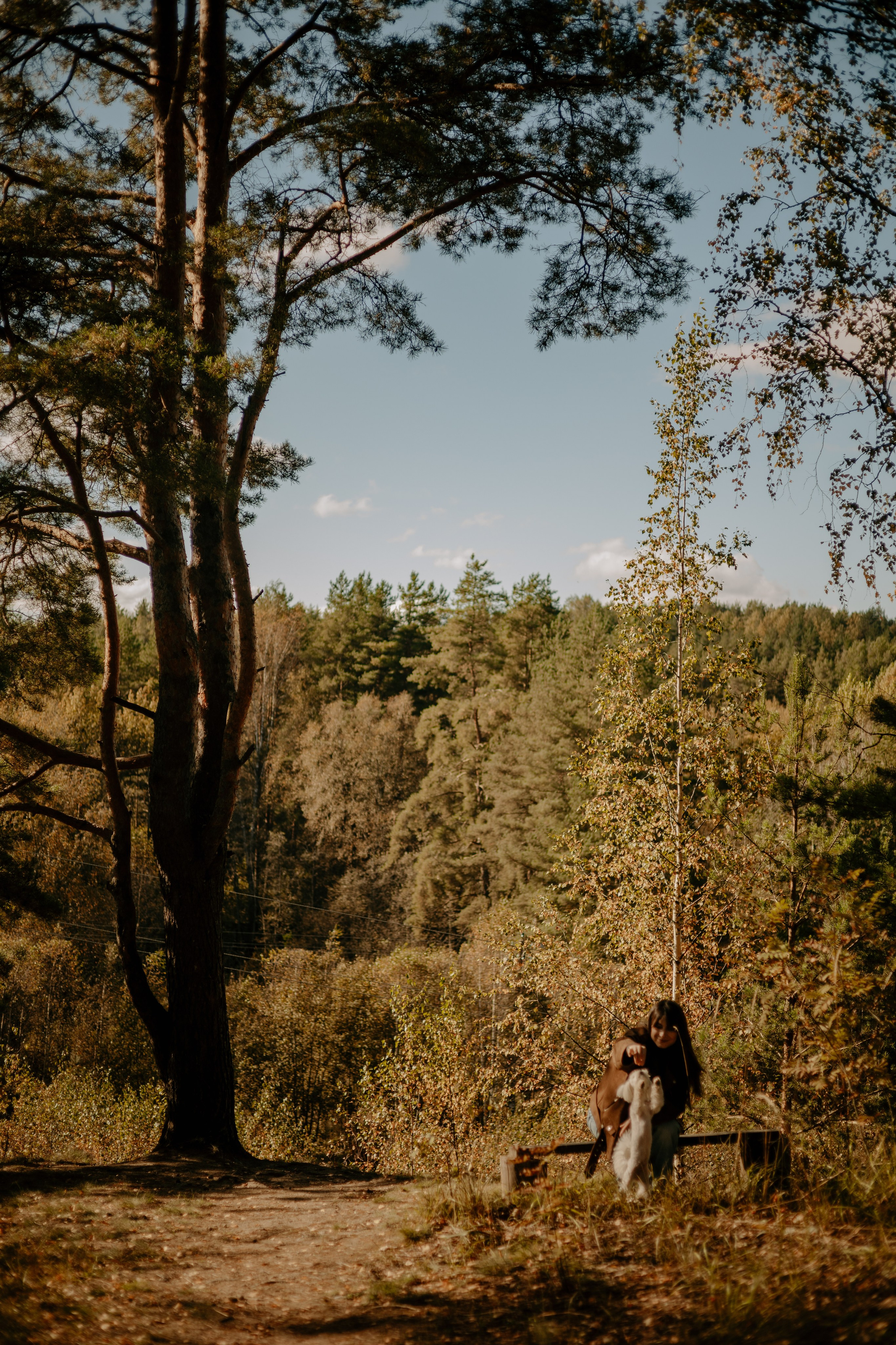 Любовь & Белла. Фотограф — анималист •love-story•|Санкт-Петербург