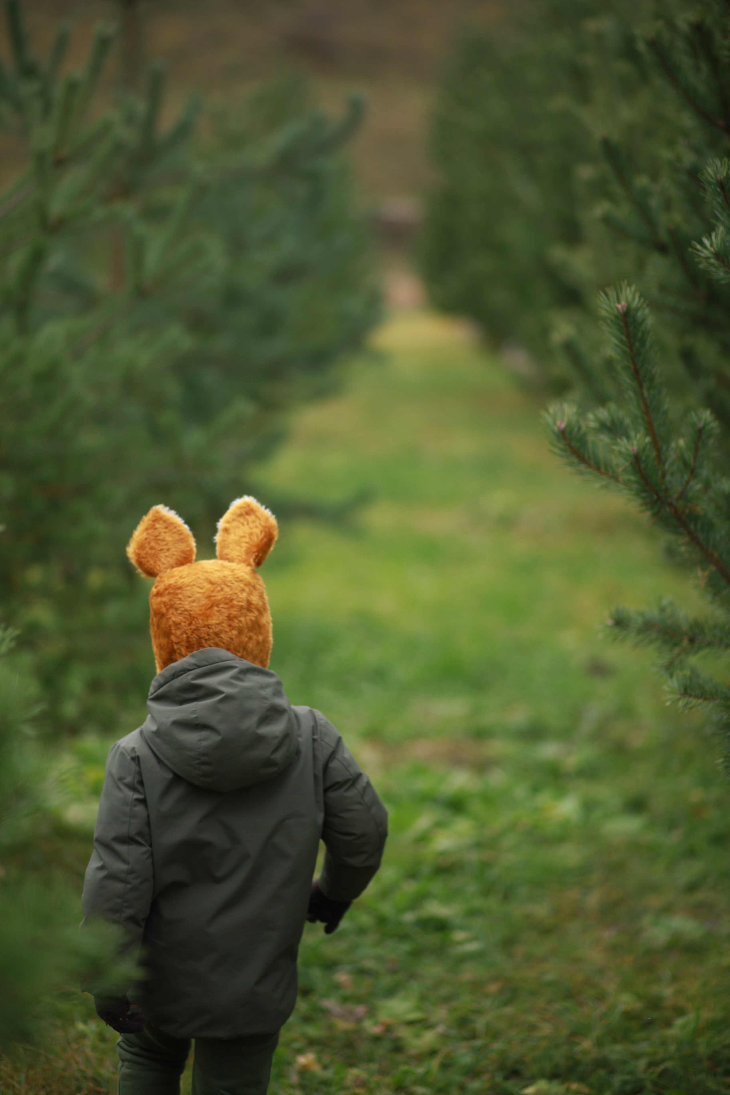 ЛИСЯТА. Арт-фотограф в Москве Елена Иванова