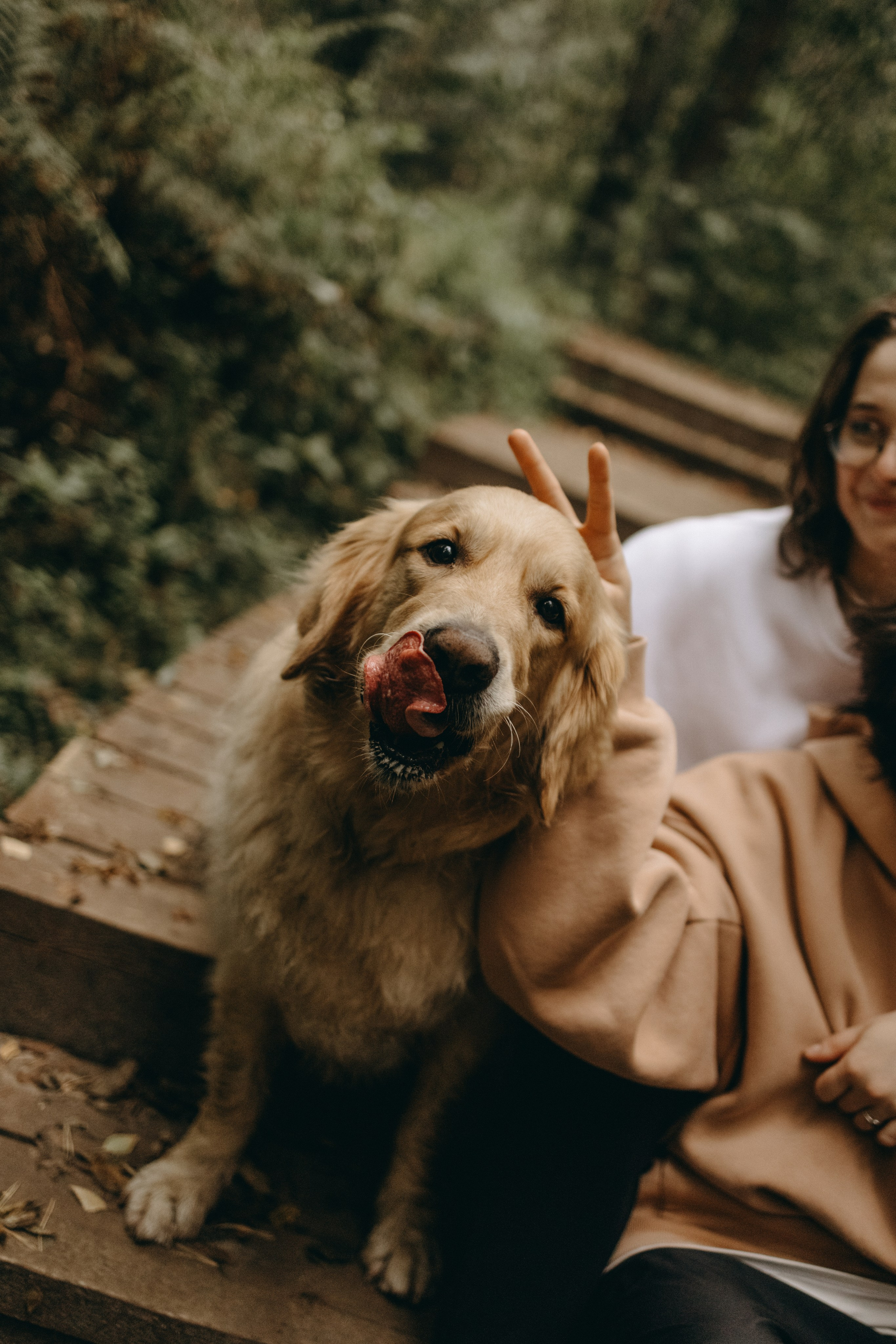 Фоси и его семьи. Фотограф — Анималист | Санкт-Петербург