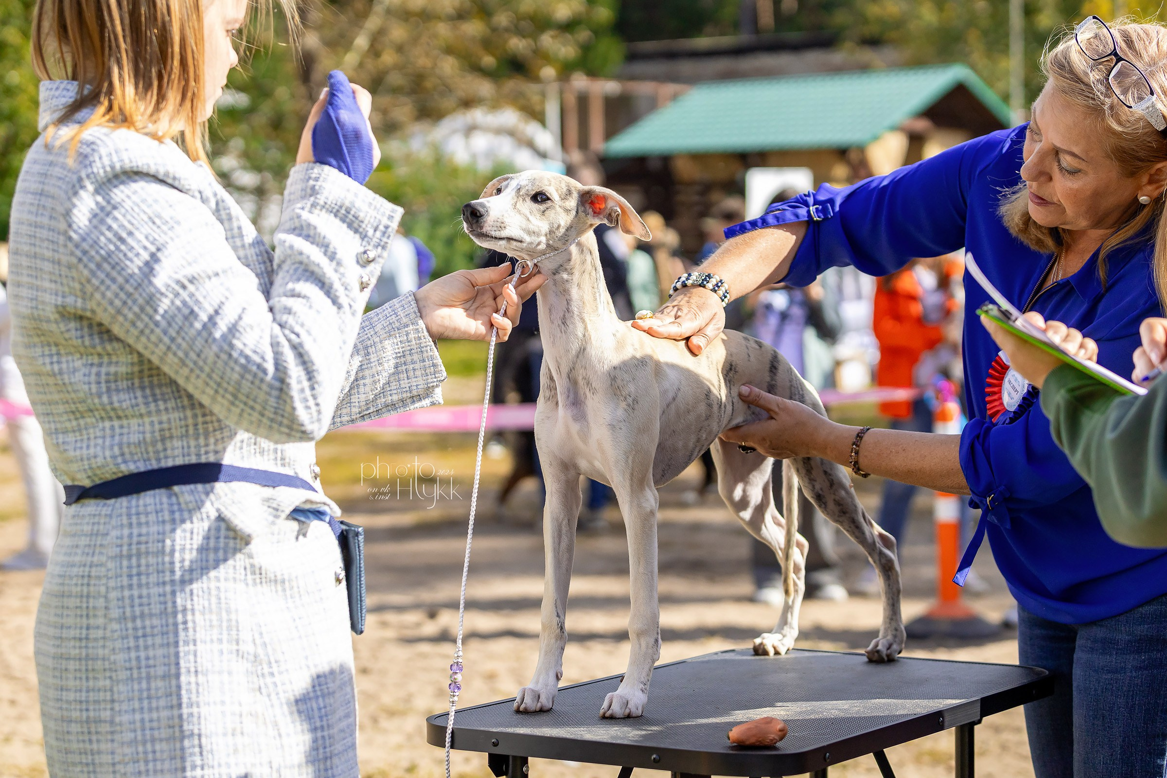 7 сентября 2024, Выставка СКОР, г. Пермь. Htykk_photo