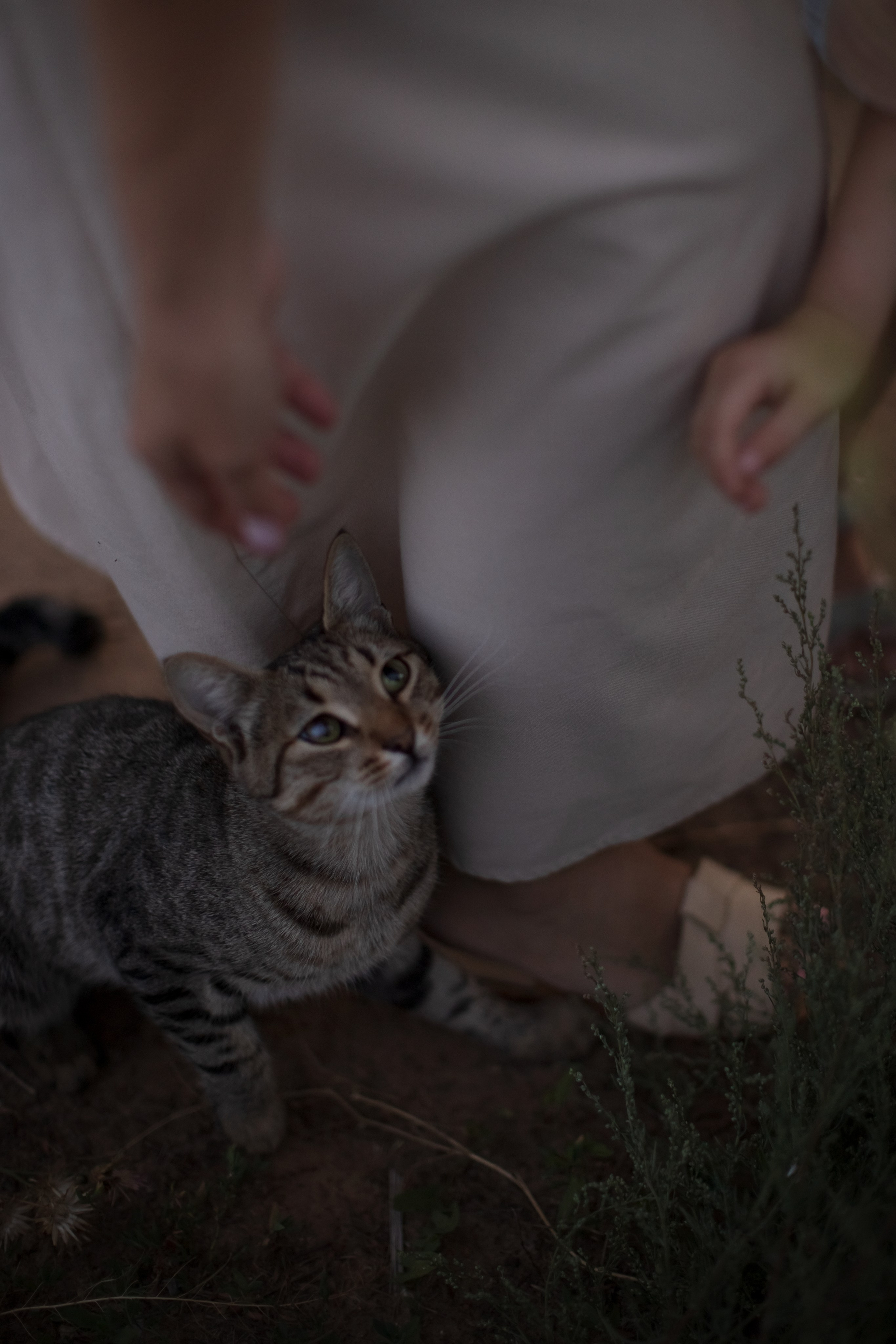Семейное лето. Семейный и детский фотограф в Саратове Полина Коткина