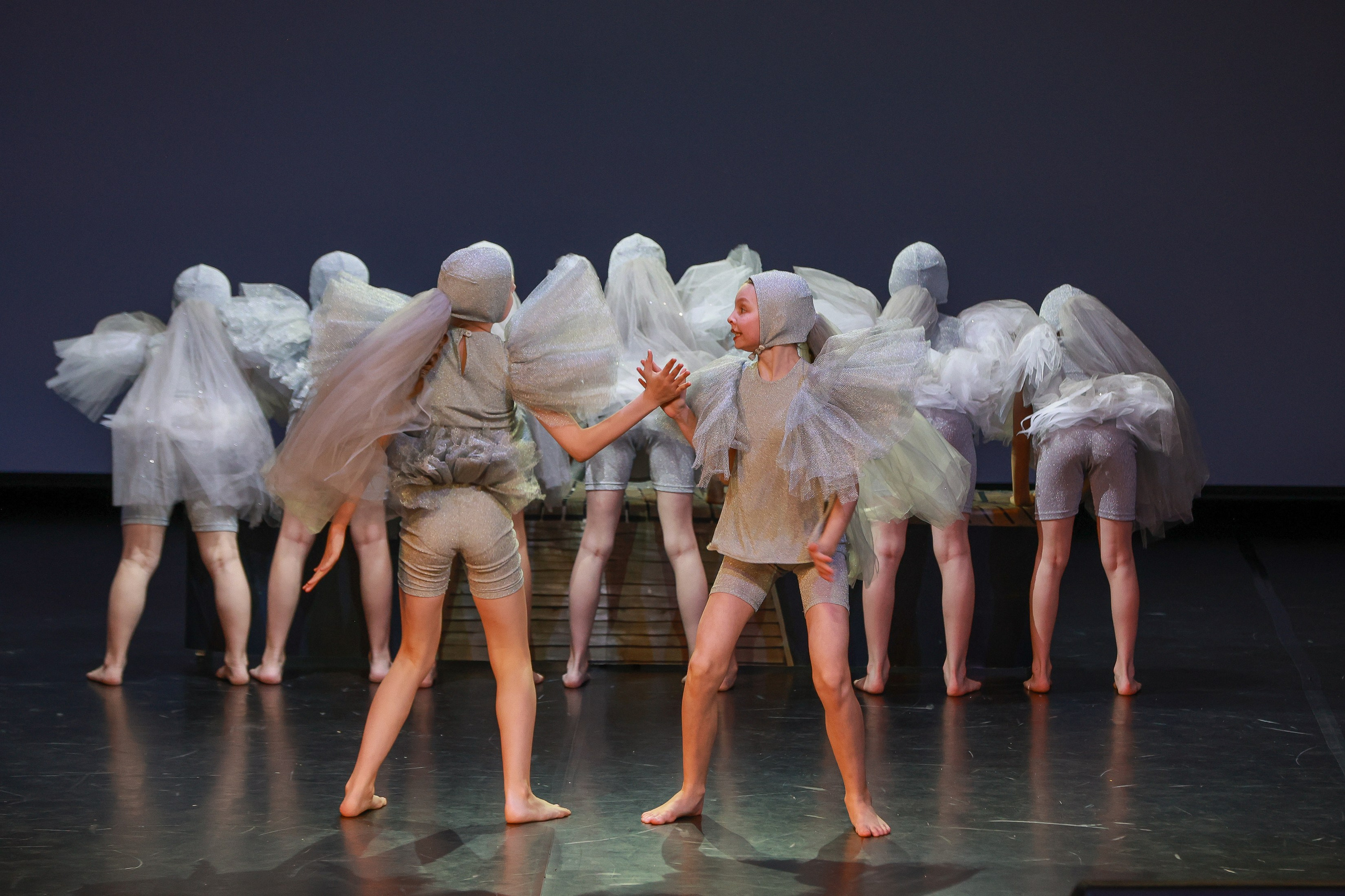 Небесные ласточки на Танц ЭКСПО 2026. Фотограф Юлия Мальцева