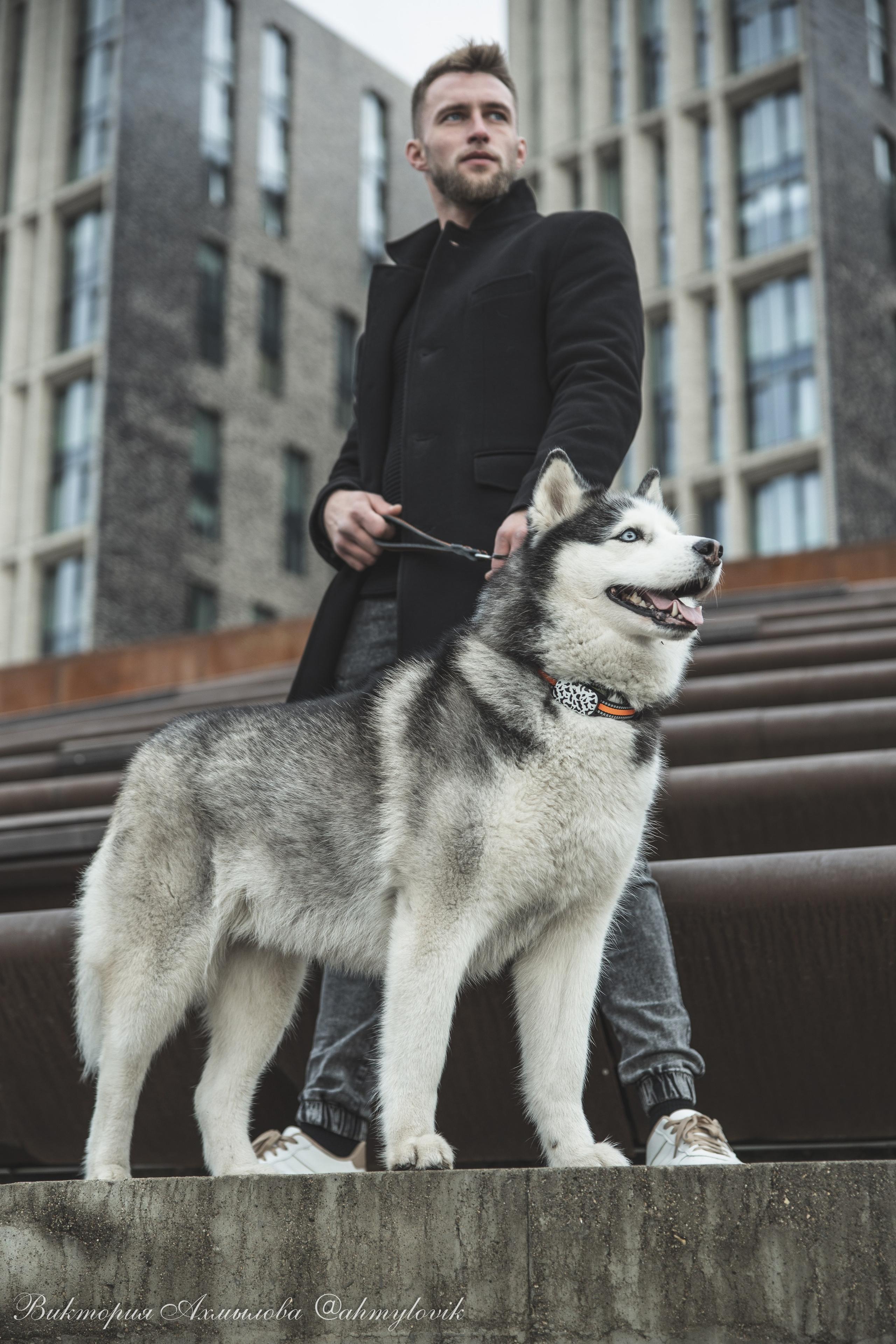 Прогулка с Хаски (Сергей). Виктория Ахмылова. Фотограф в Москве