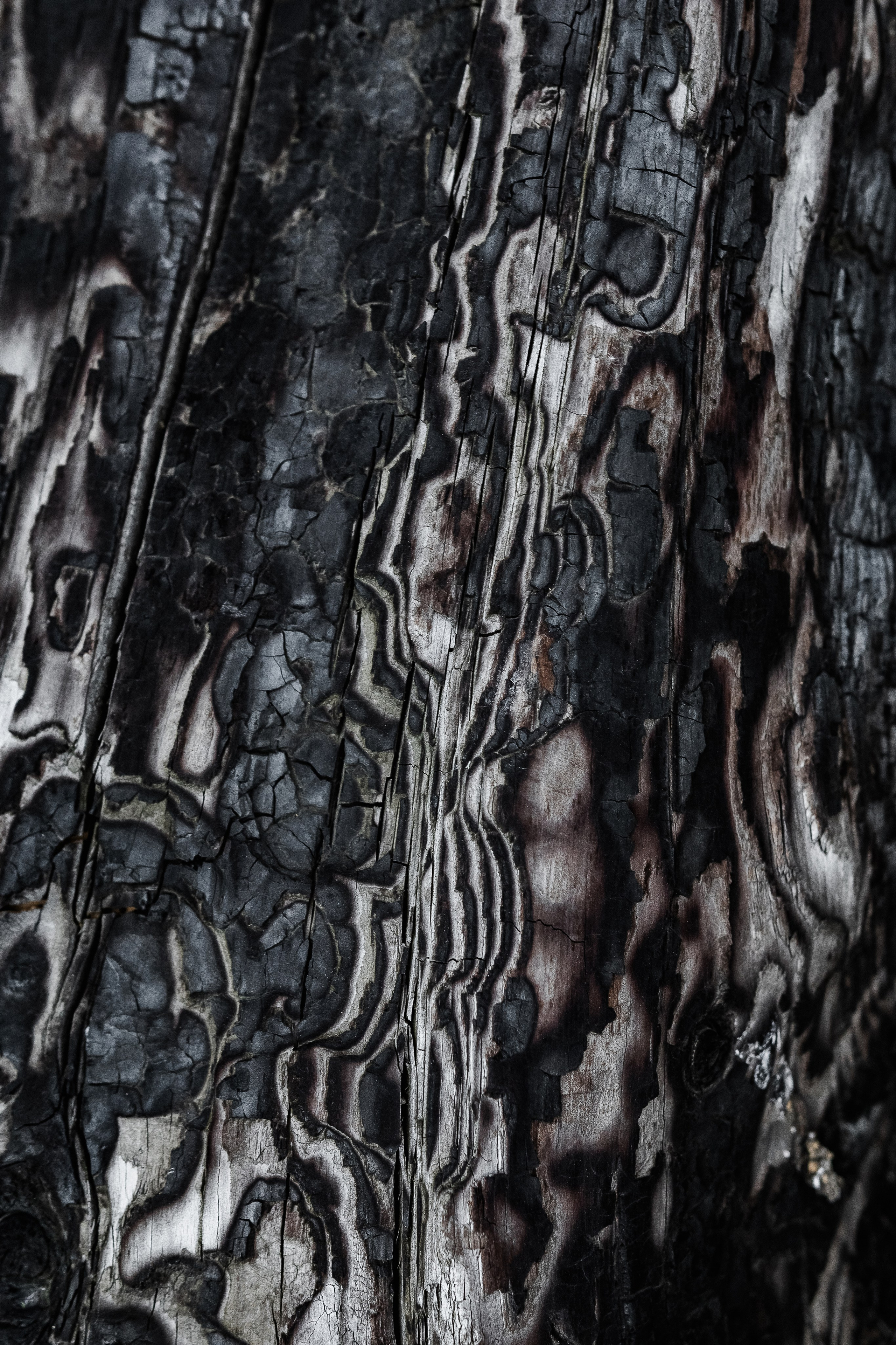 Жизнь. Фотограф Алматы | Весь мир — Никита Колодин