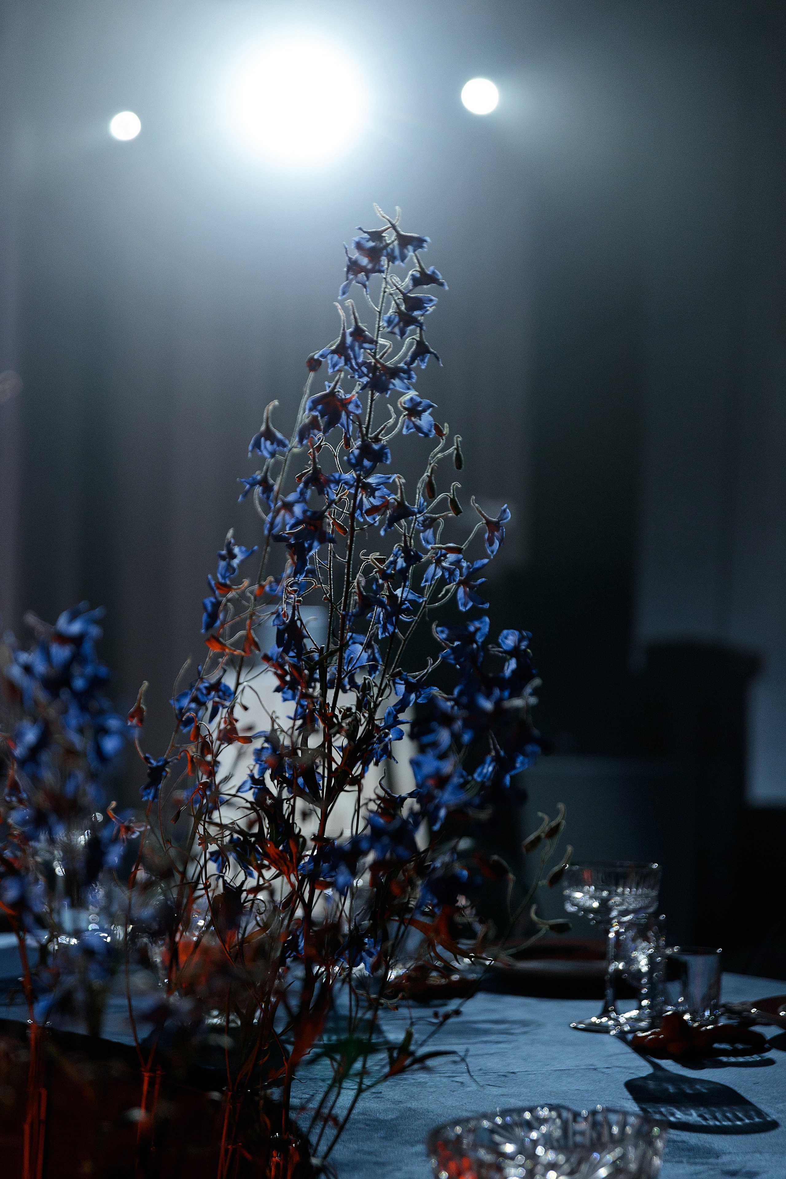 Дима и Диана. Свадебный и семейный фотограф Алимова Леся