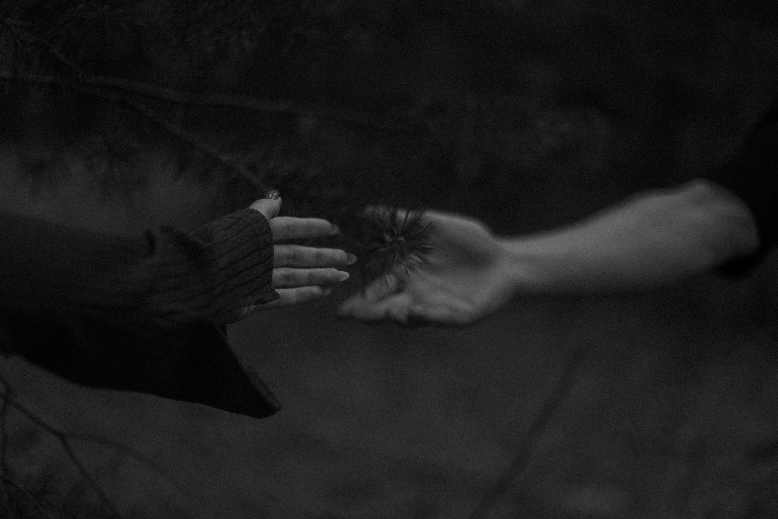 Наша первая история. Фотограф — Ольга Косолюкина