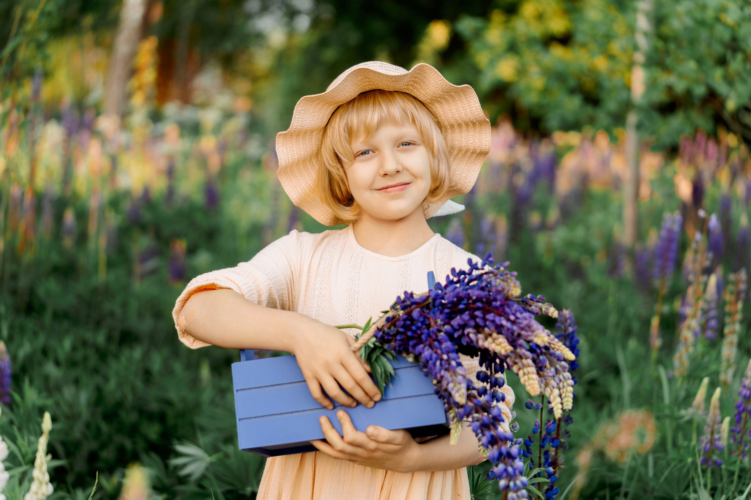 Люпины. Фотограф Юлия Попова