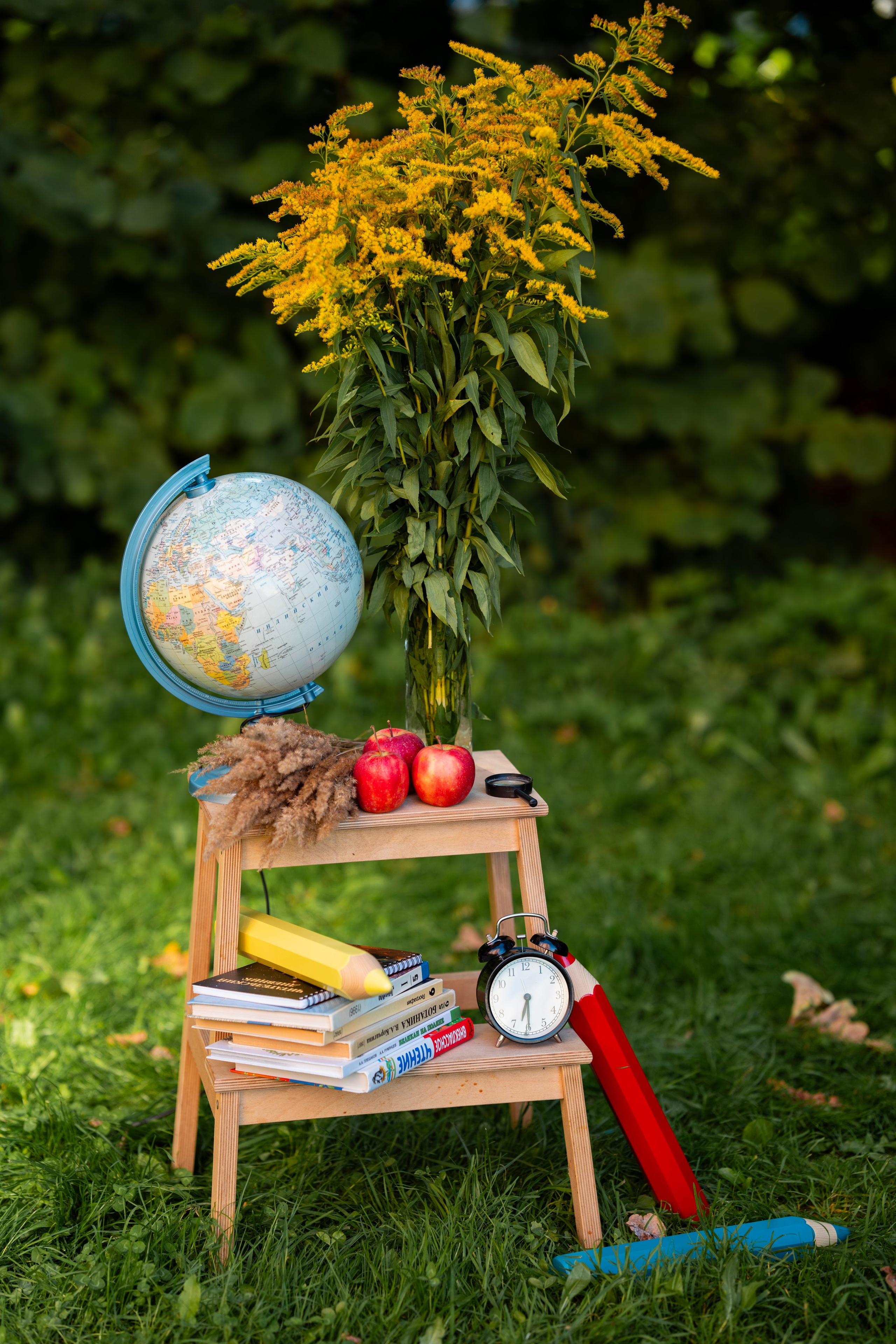 Здравствуй, школа!. Фотограф Юлия Попова