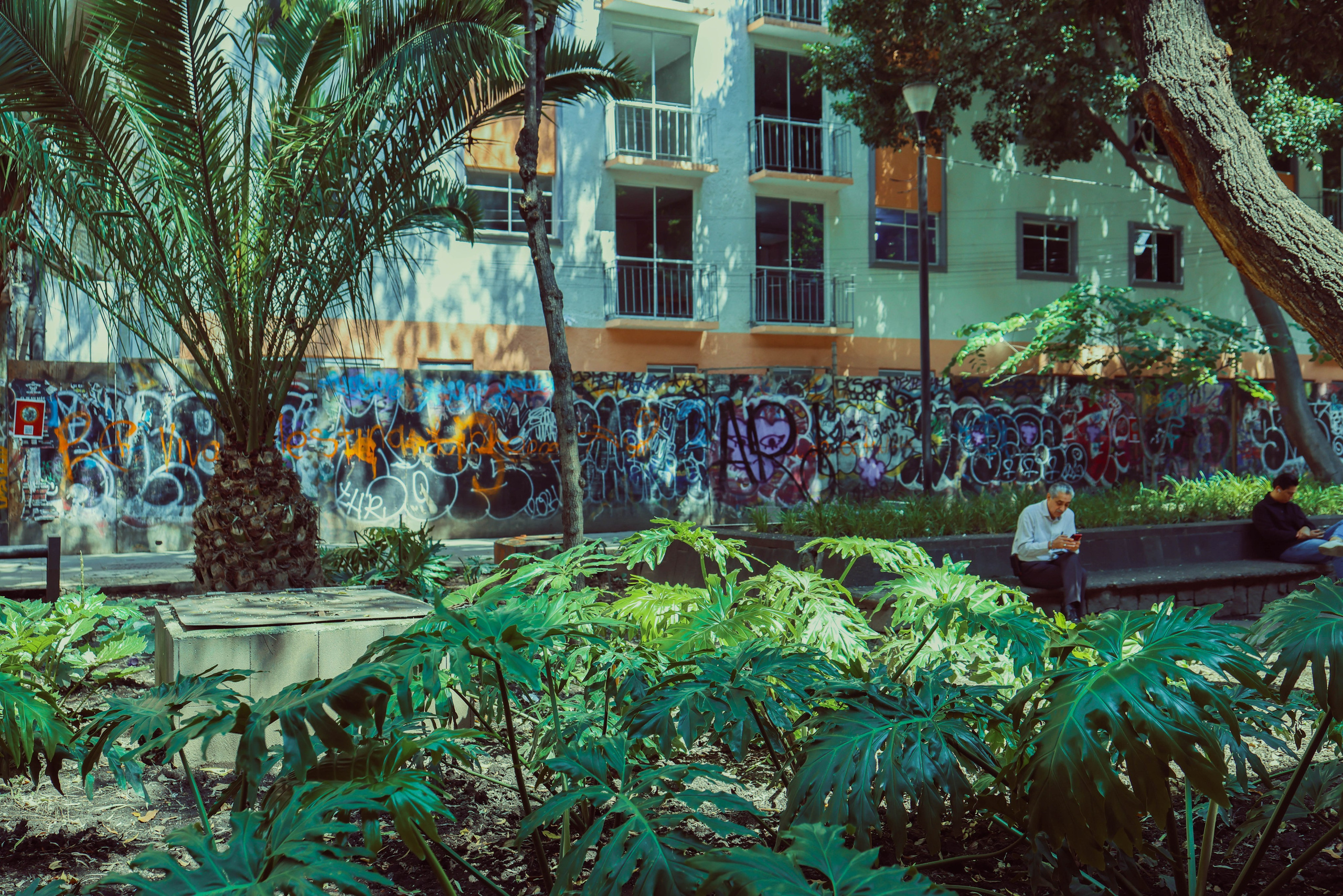 Теночтетлан и теночки. Kateserbina