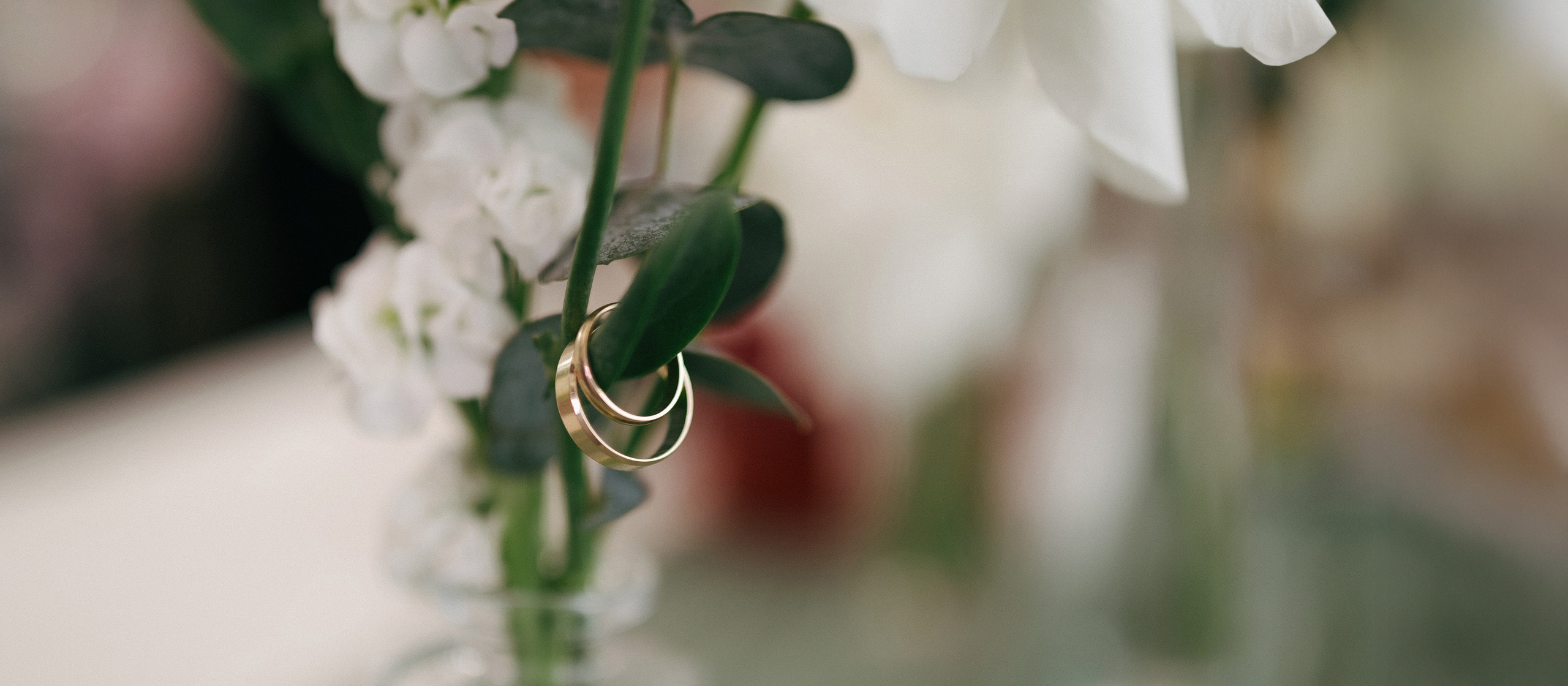 Свадебный фотограф в Алматы. Фотограф в Алматы — Дарья Фёдорова