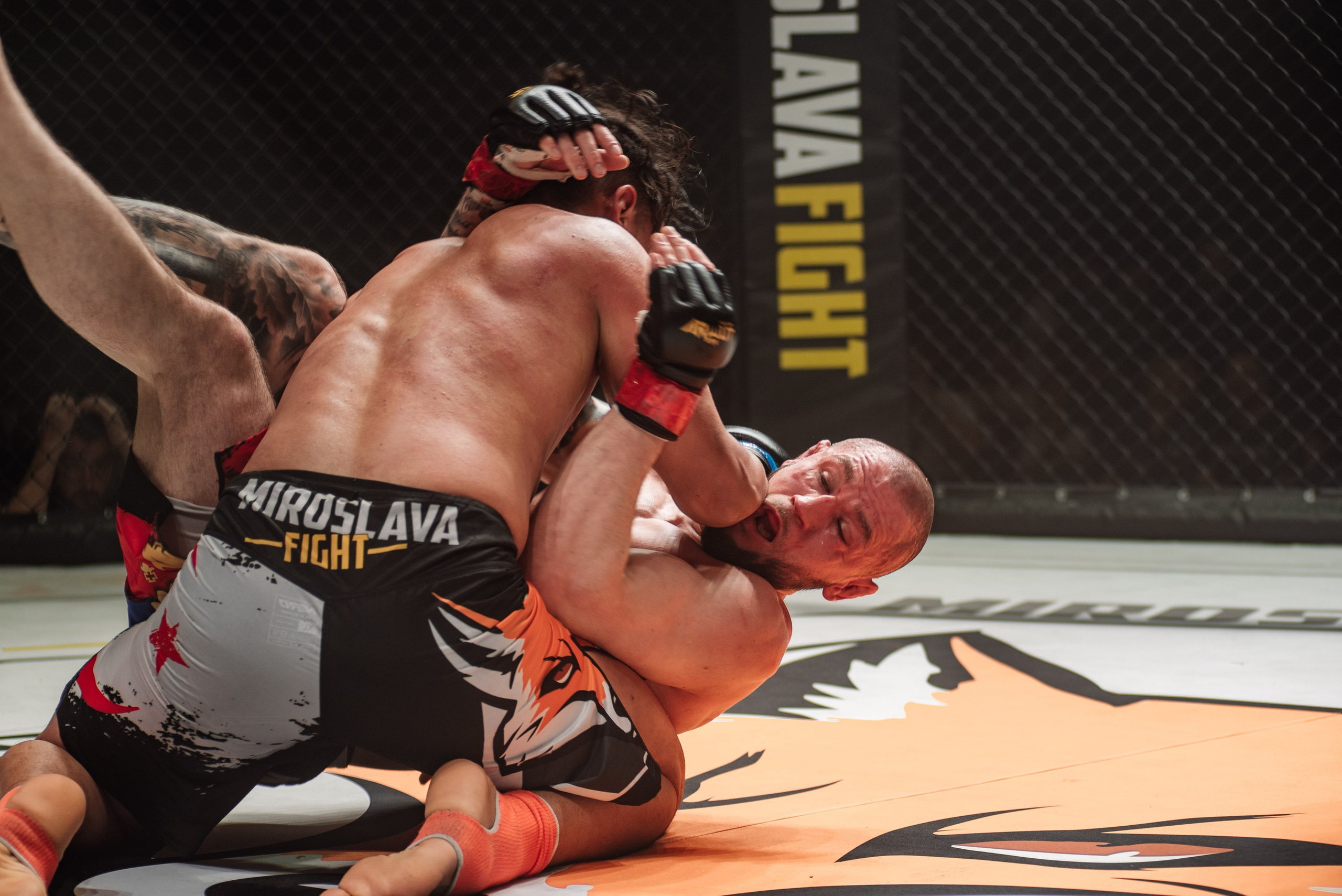 Miroslava Fight
