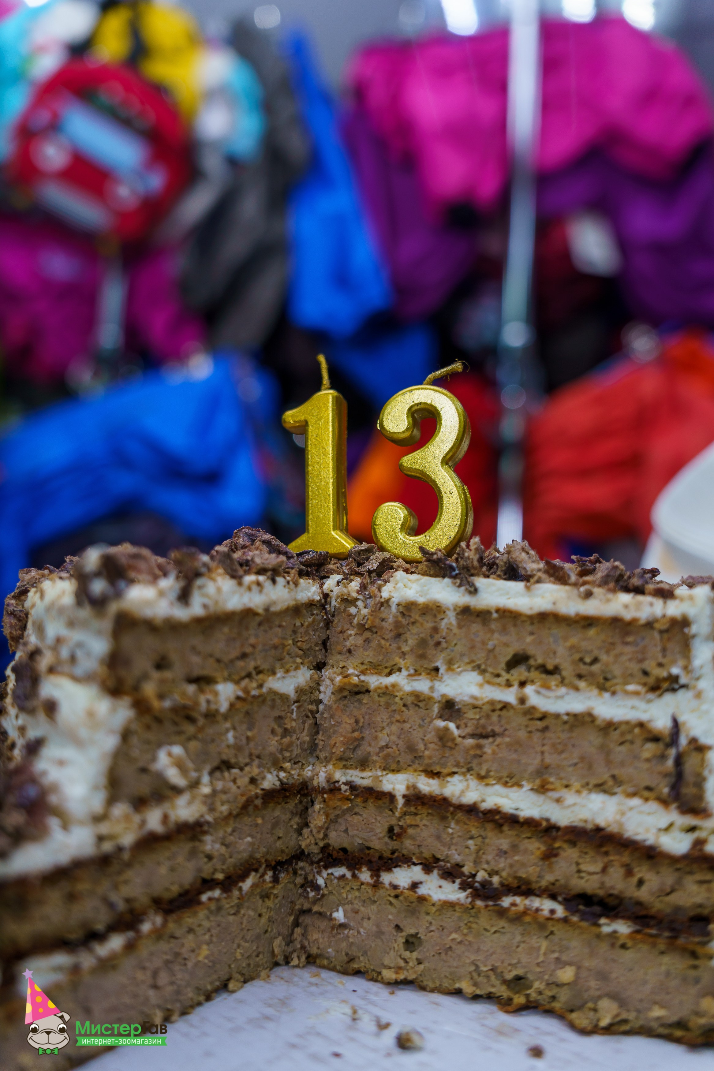 Мистер Гав -13 лет!. Фотограф Челябинск · Ольга Серебрякова