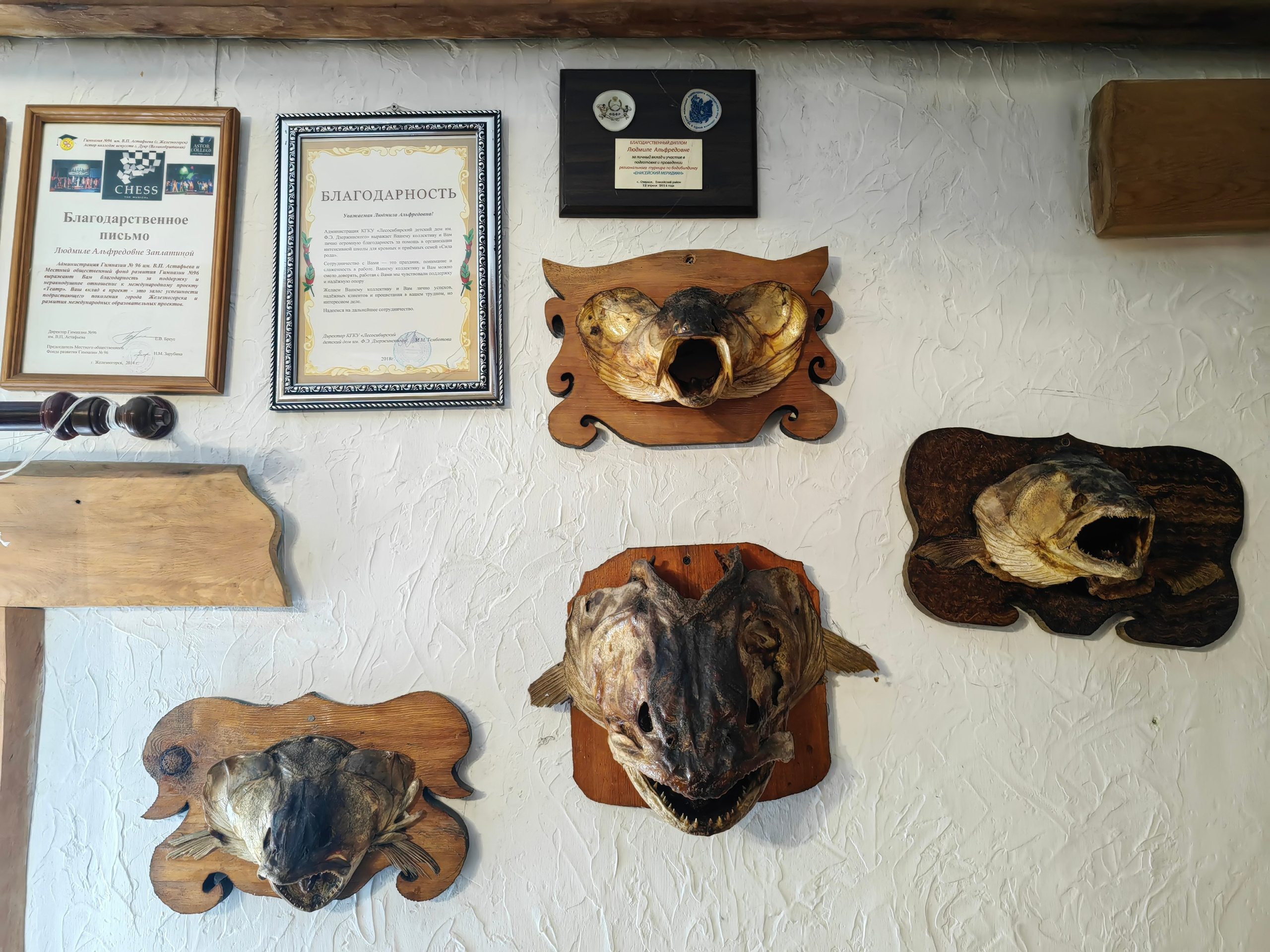 Енисей рыбная заимка рыбалка экскурсии Енисейск Красноярск аренда микроавтобуса трансфер индивидуальный тур фото дегустация рыбных блюд интересные места что посмотреть куда сходить что посетить достопримечательности в Енисейске фототур  цена заказать экскурсию программа маршрут смотровые площадки видовые красивые места путешествие туристический маршрут 