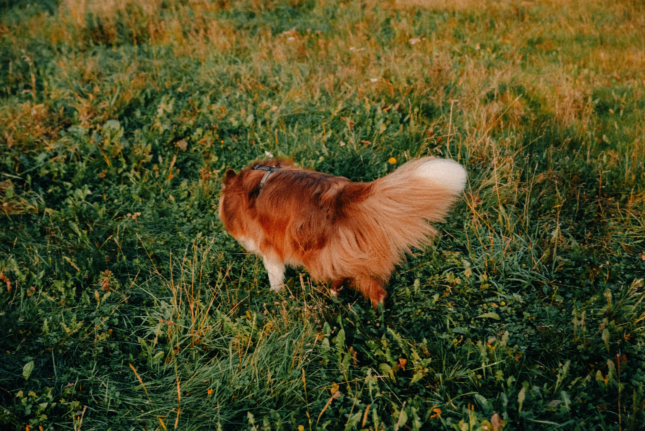 Зоопарк в моём багаже. Кошенкова Мария: портретный и репортажный фотограф. Санкт-Петербург