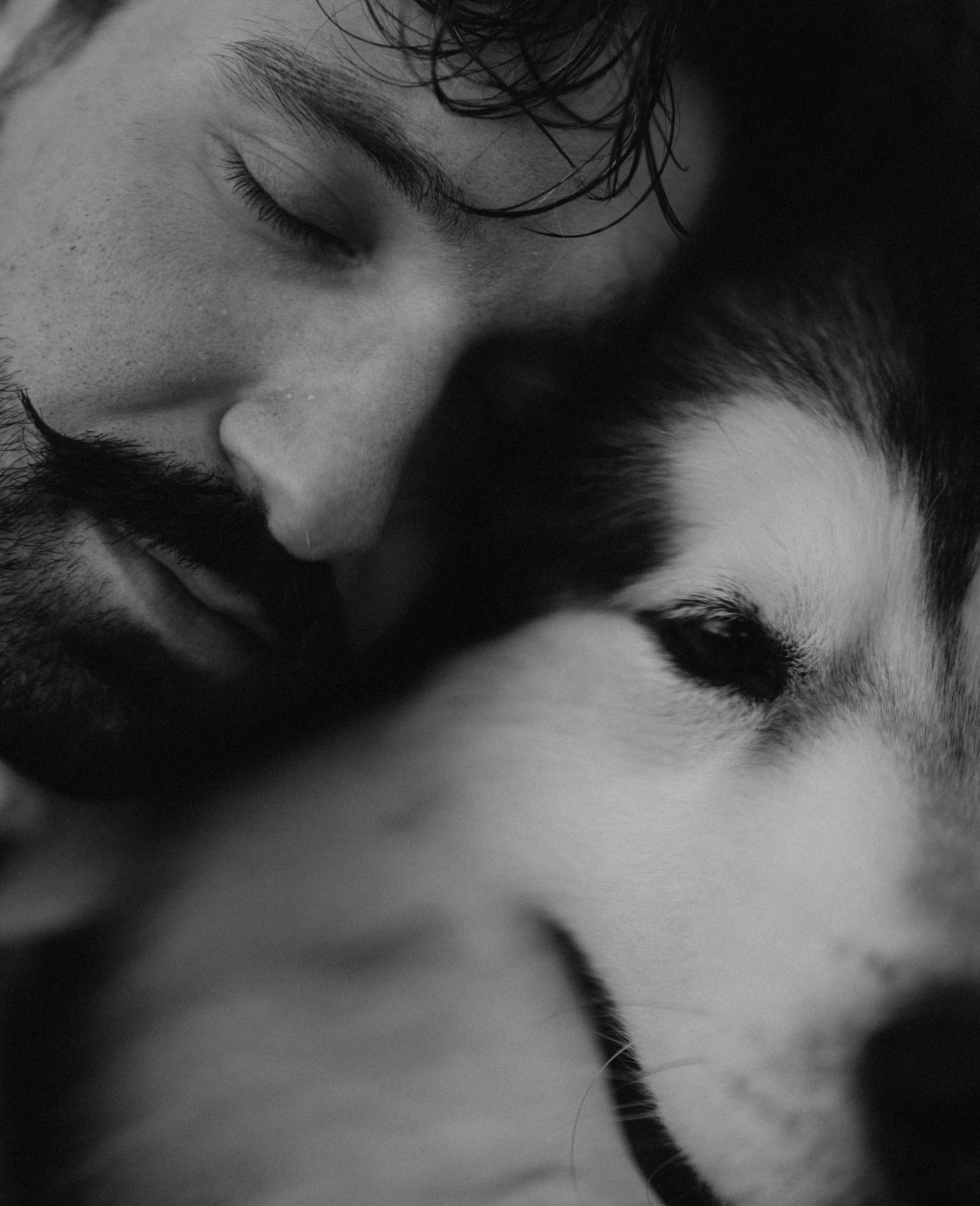 Друг человека. Фотограф Дарья Филатова