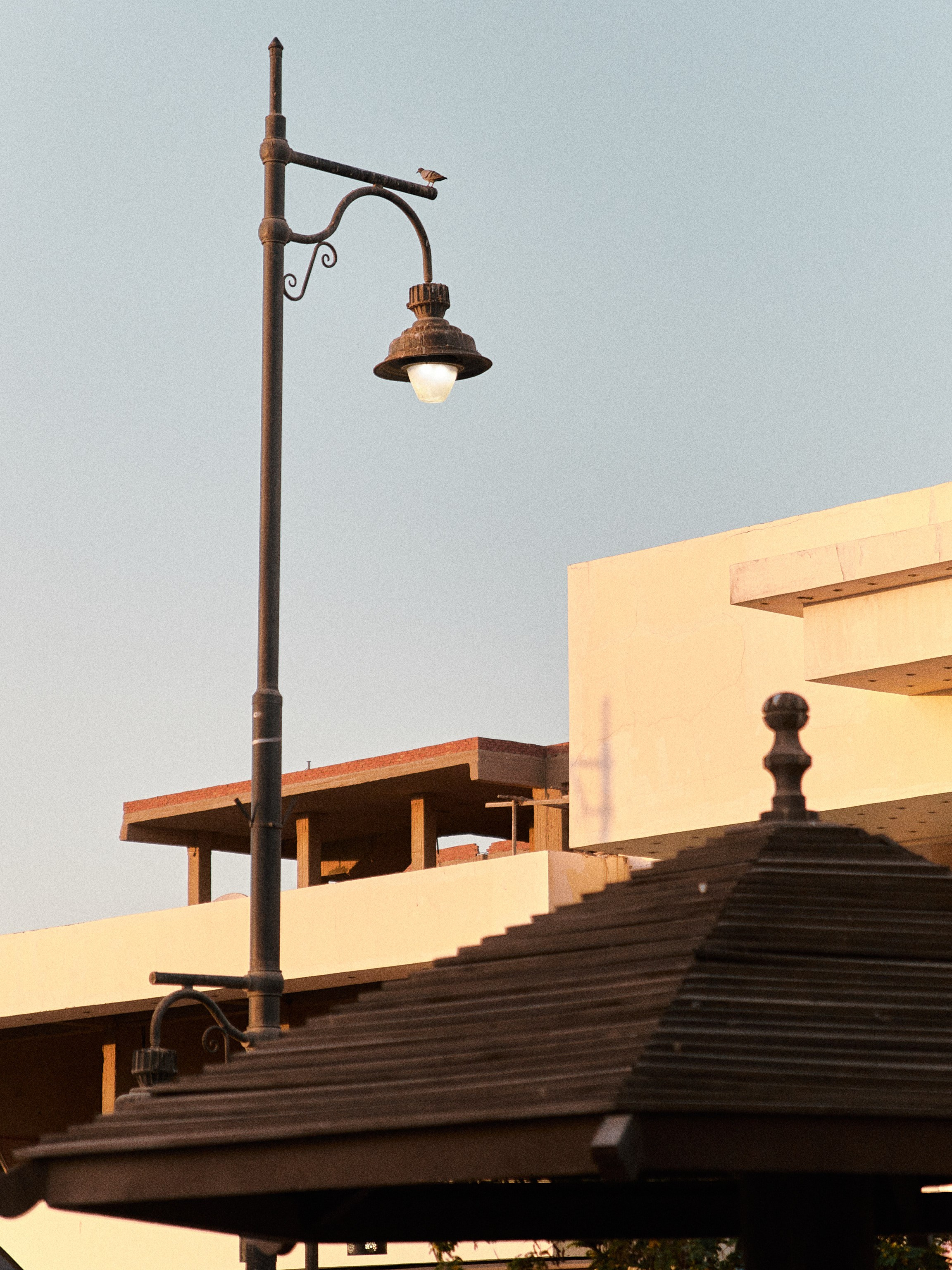 Другое 2. Jorgis Talè — photographer, kind person, teacher of arts and other mag